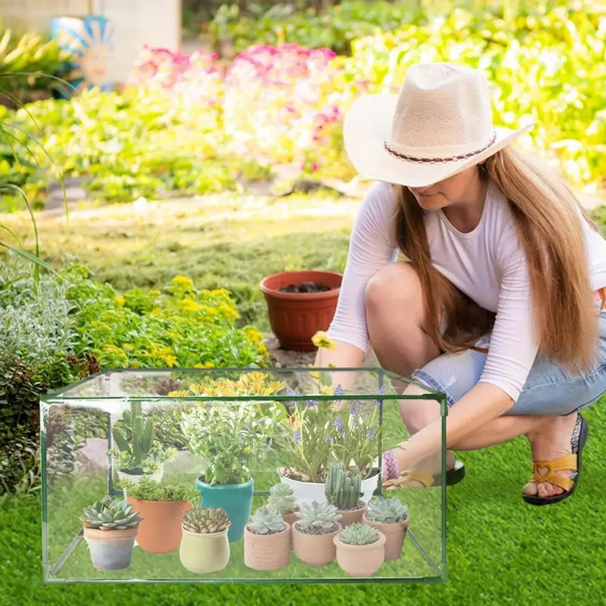 AIMALL Mini Greenhouse Plant Cover &ndash; 24.4X12.59X12.59In Portable Fiberglass Frame Greenhouse Tent for Succulents, Seedlings, Winter Protection & Rain Shelter