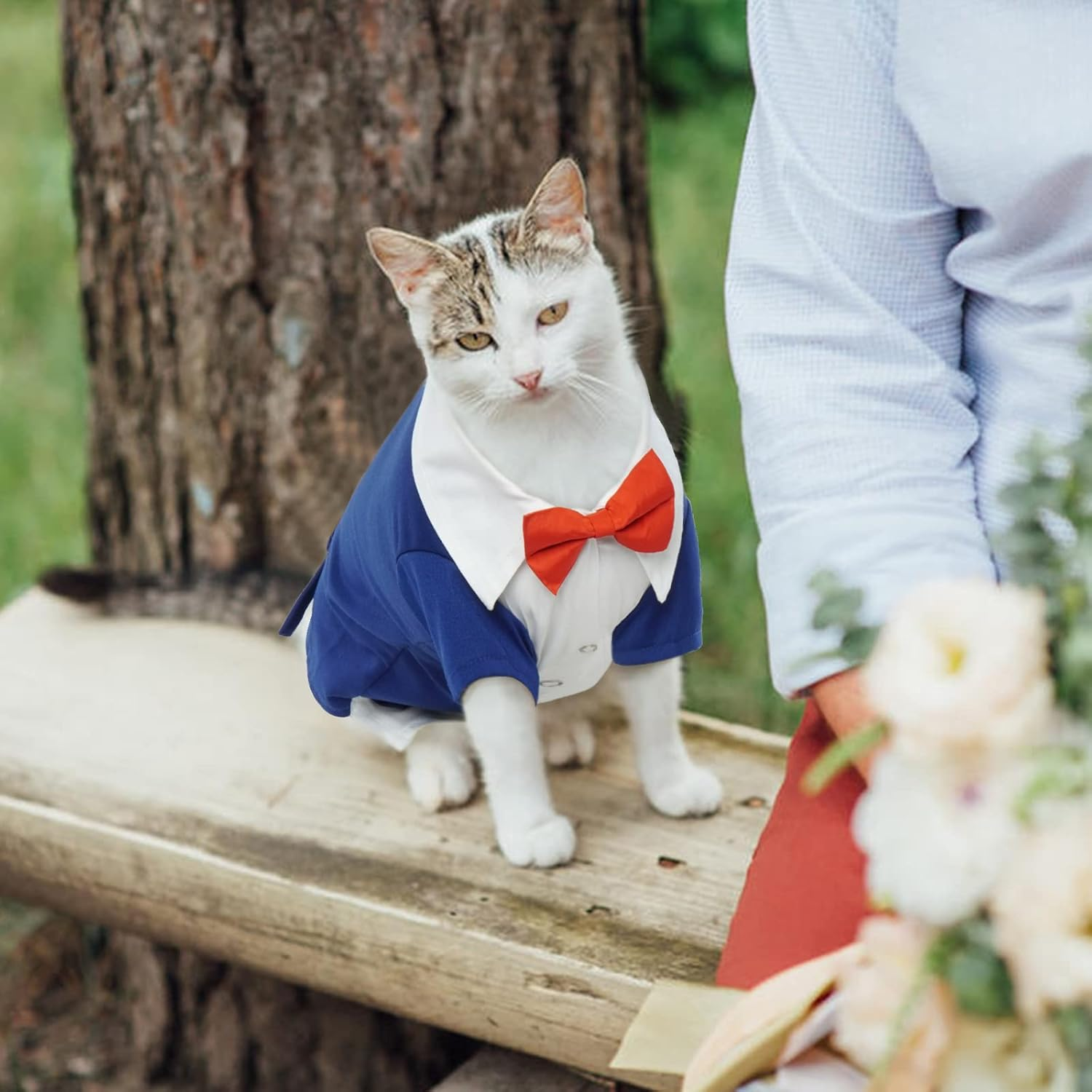 Hjyokuso Cat Tuxedo, Formal Wear Cat Costume, Cat Wedding Outfit, Blue, Polyester and Cotton, Xx-Large, Suitable for Small, Medium, Large Breeds