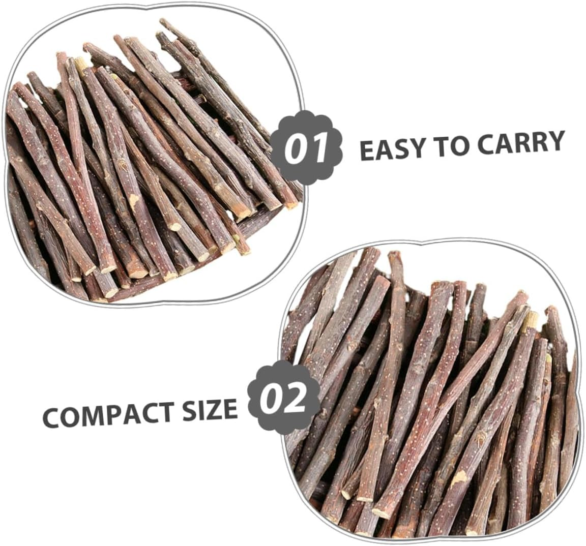 VICASKY Apple Sticks Small Chew Natural Teeth Grinding Treats for Rabbits Hamsters Guinea Pigs Squirrels Chinchillas Portable Wooden Molar Chew Snack for Small Pets image number 1