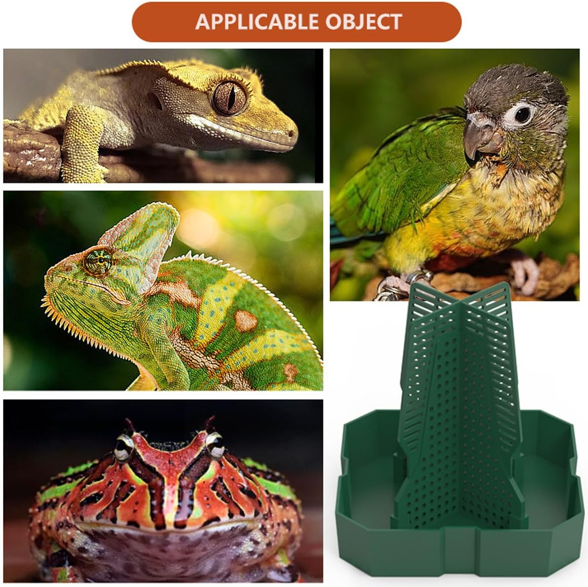 AIMALL Reptile Feeding Basin, Anti-Escape Design, Horned Frog and Dubia Cricket Compatible, Available in Two Sizes and Colours - Brown-S image number 2