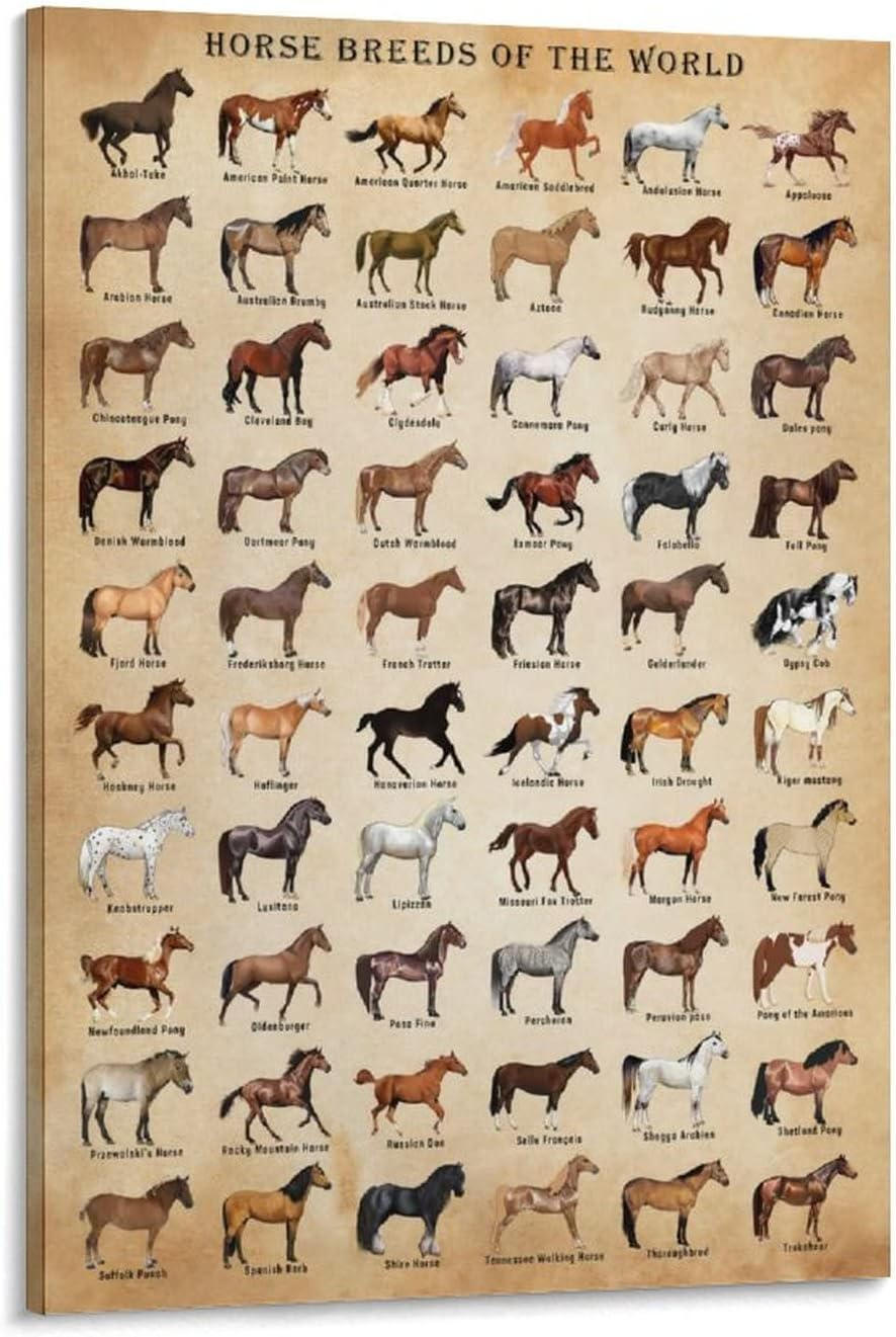 Horse Knowledge Horse Breeds of the World Poster Framed 12X16Inch