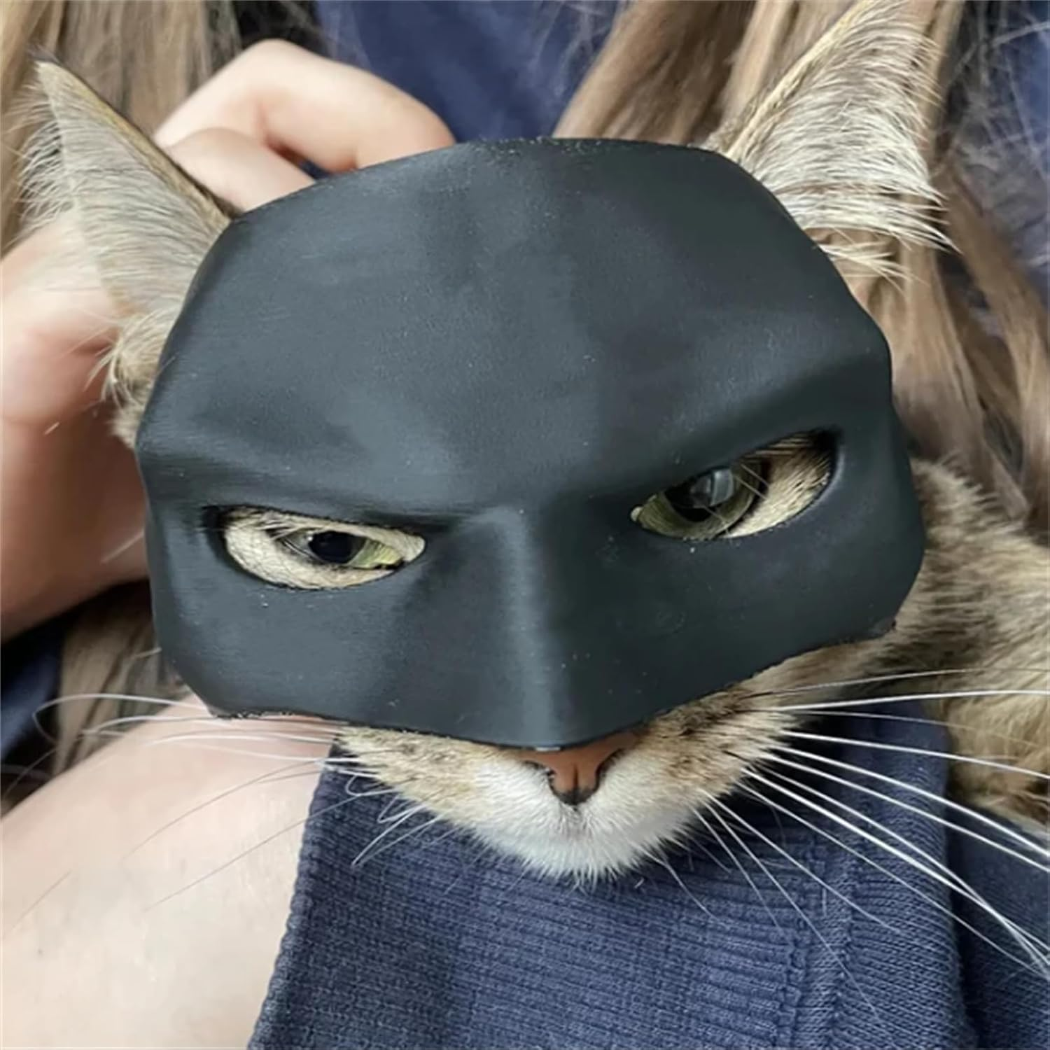 Cat Clothing Accessories, 3D Cat Mask, Costume for Cats, Cat Costume Photo Props, Funny Cat Mask for Halloween, Carnival or Everyday Fun (M)