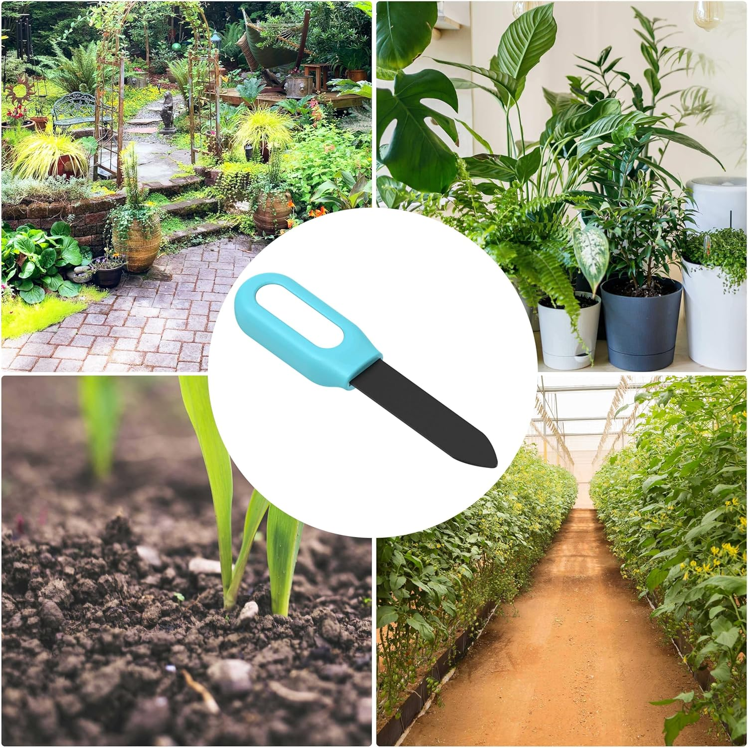 Smart Plant Soil Moisture Meter + App, Bluetooth Soil Sensor + Notifications, Wireless Plant Care Remote Monitoring, Soil Meter for Garden image number 4