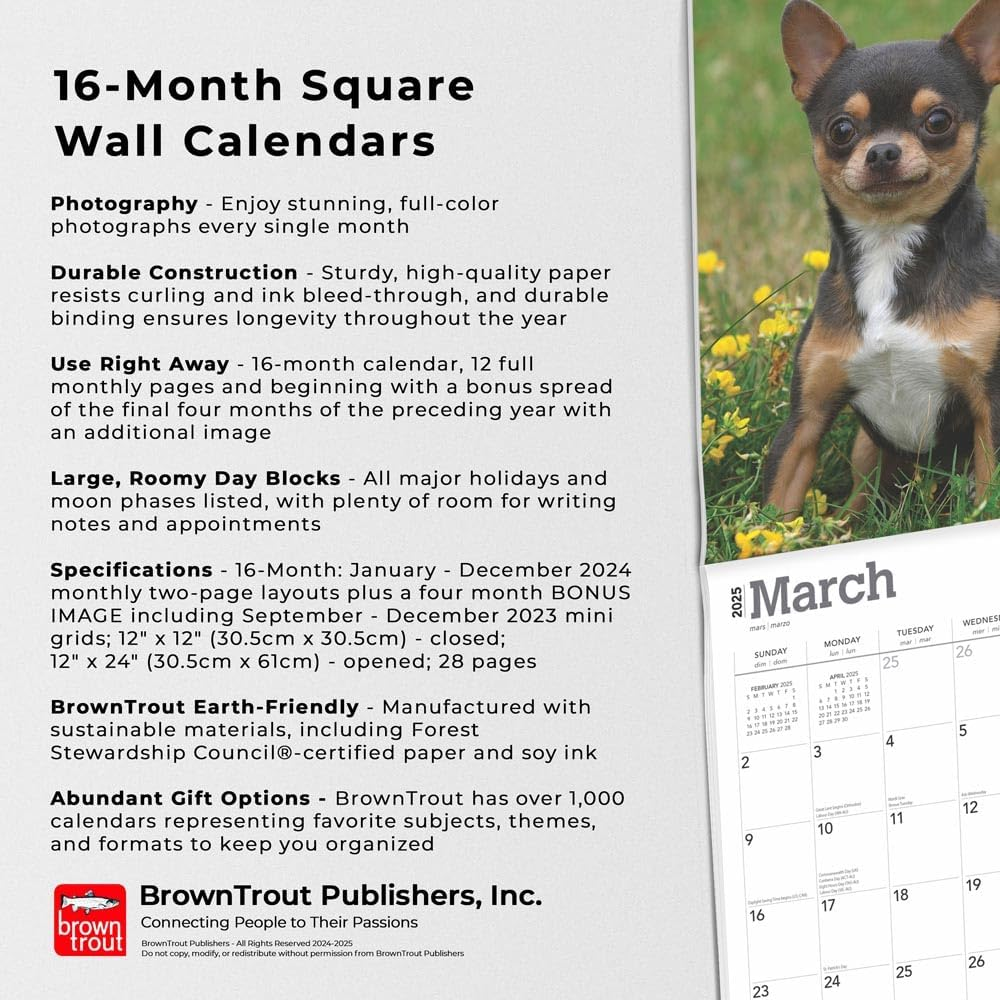 Chihuahuas | 2025 12 X 24 Inch Monthly Square Wall Calendar | Plastic-Free | Browntrout | Animals Small Dog Breeds Puppies image number 2