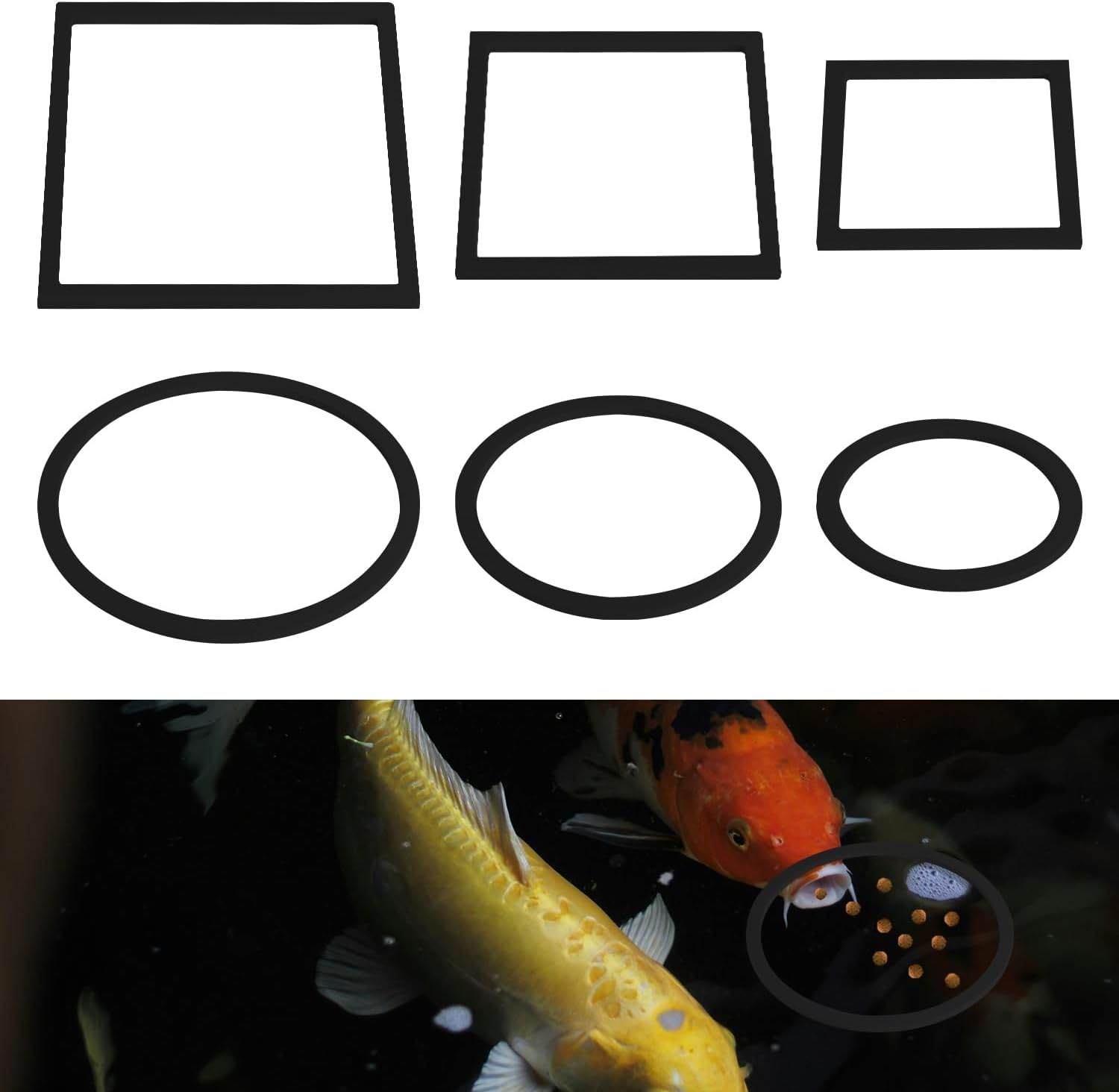 PEUTIER 6Pcs Fish Feeding Rings, Aquarium Floating Plant Rings, round & Square Fish Feeder Rings Floating Plant Corral Fish Tank Plant Ring for Bettas, Goldfish, Turtle Aquarium Accessories (Black) image number 4