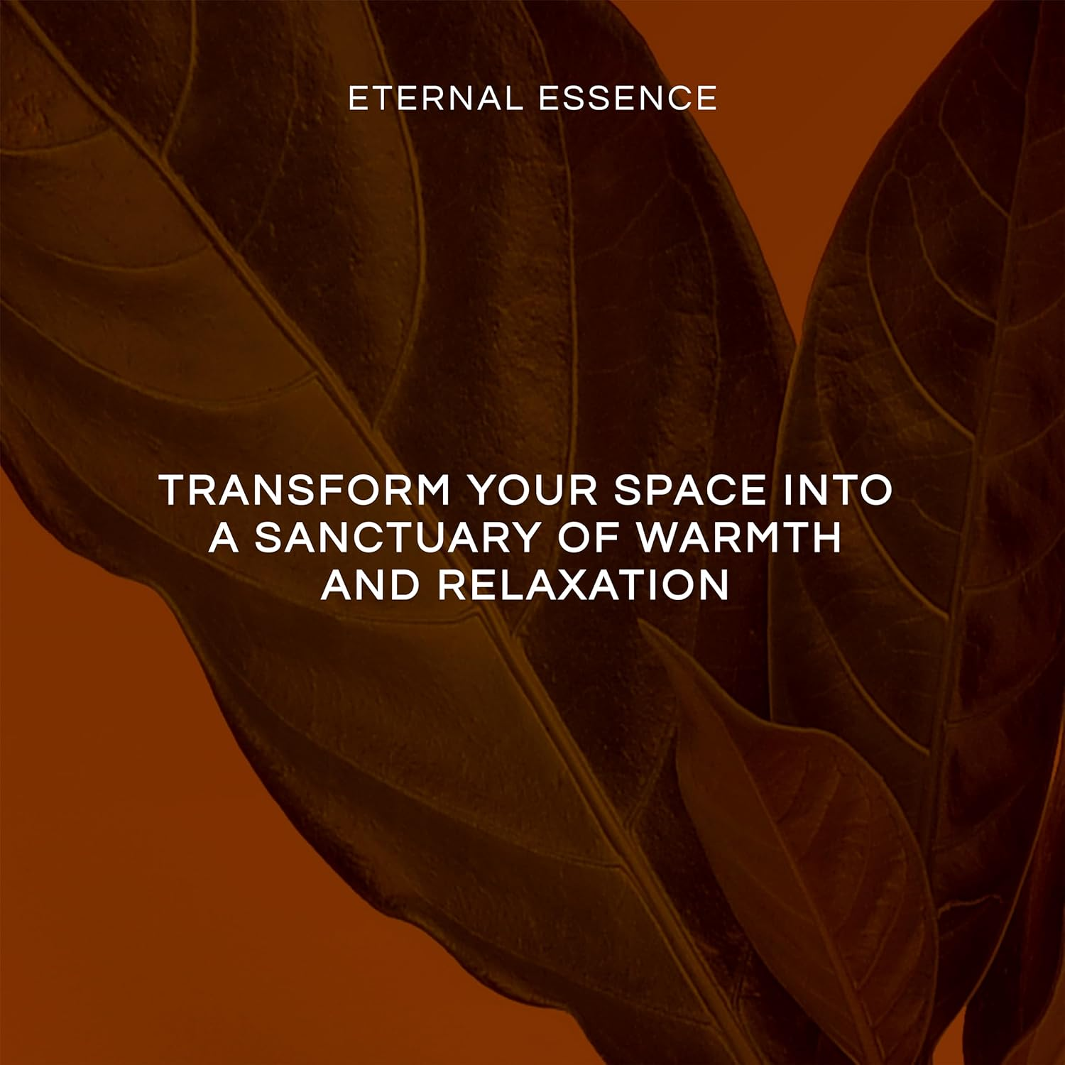 Apricot & Peach Premium Grade Fragrance Oil - Scented Oil - 30Ml image number 2