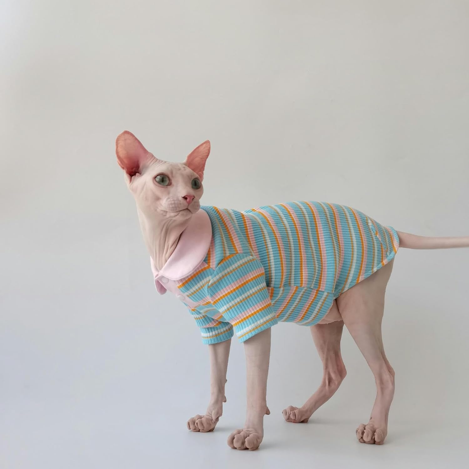 IUOUTG Summer Sphynx Cat Shirt Soft Cotton Hairless Cat Clothes Color Stripes Kitten T-Shirt Short Sleeves Pullover Cat Pajamas Cat Daily Wear Clothes for Devon Cats Apparel image number 3