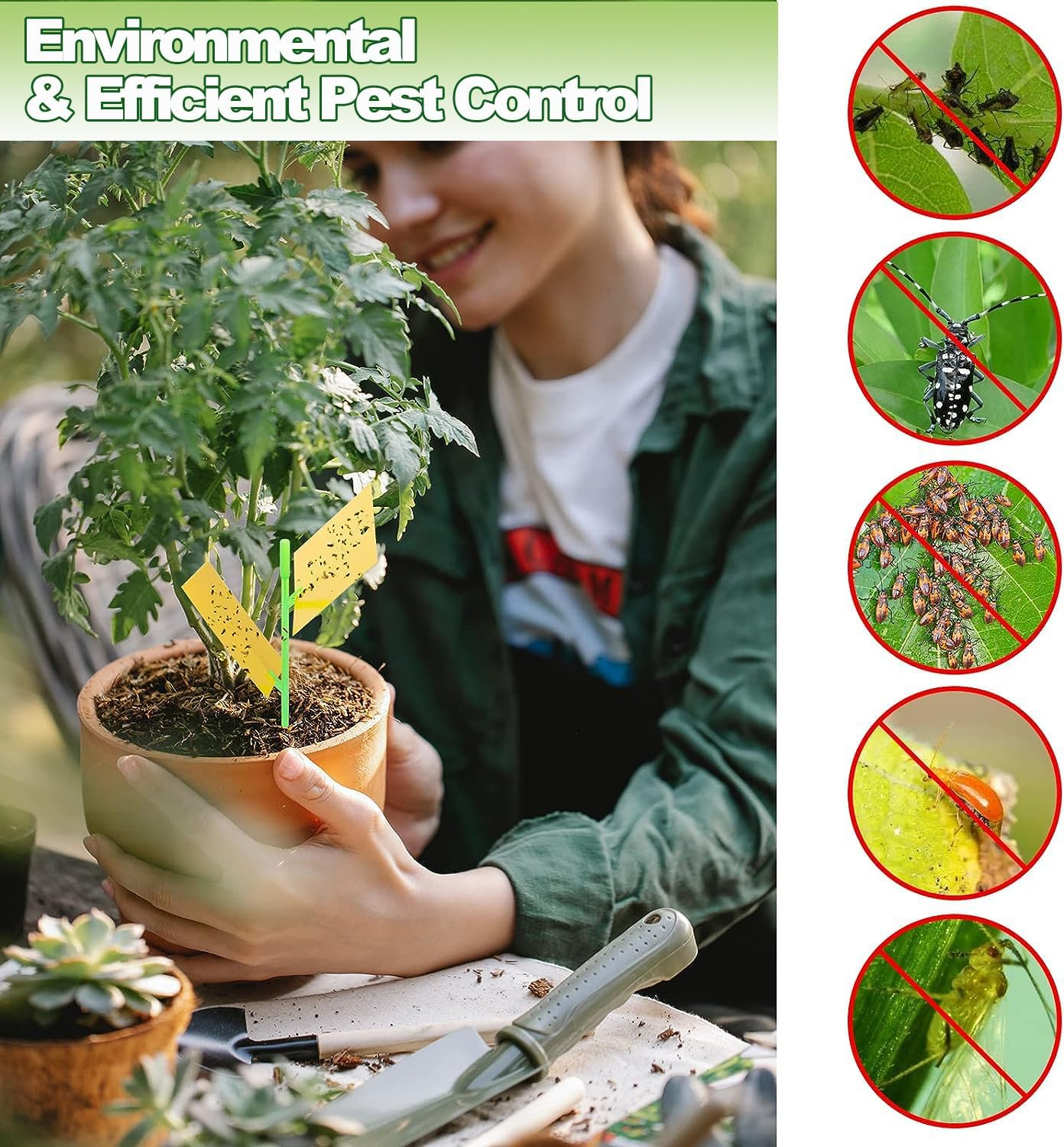 Sticky Traps 40Pcs Fruit Fly Sticky Traps and Fungus Gnat Traps for Plants, Flying Insect Trap Sticky Sticks, Yellow Sticky Insect Traps Disposable Glue Traps for White Flies, Mosquitos, Fungus Gnats image number 4