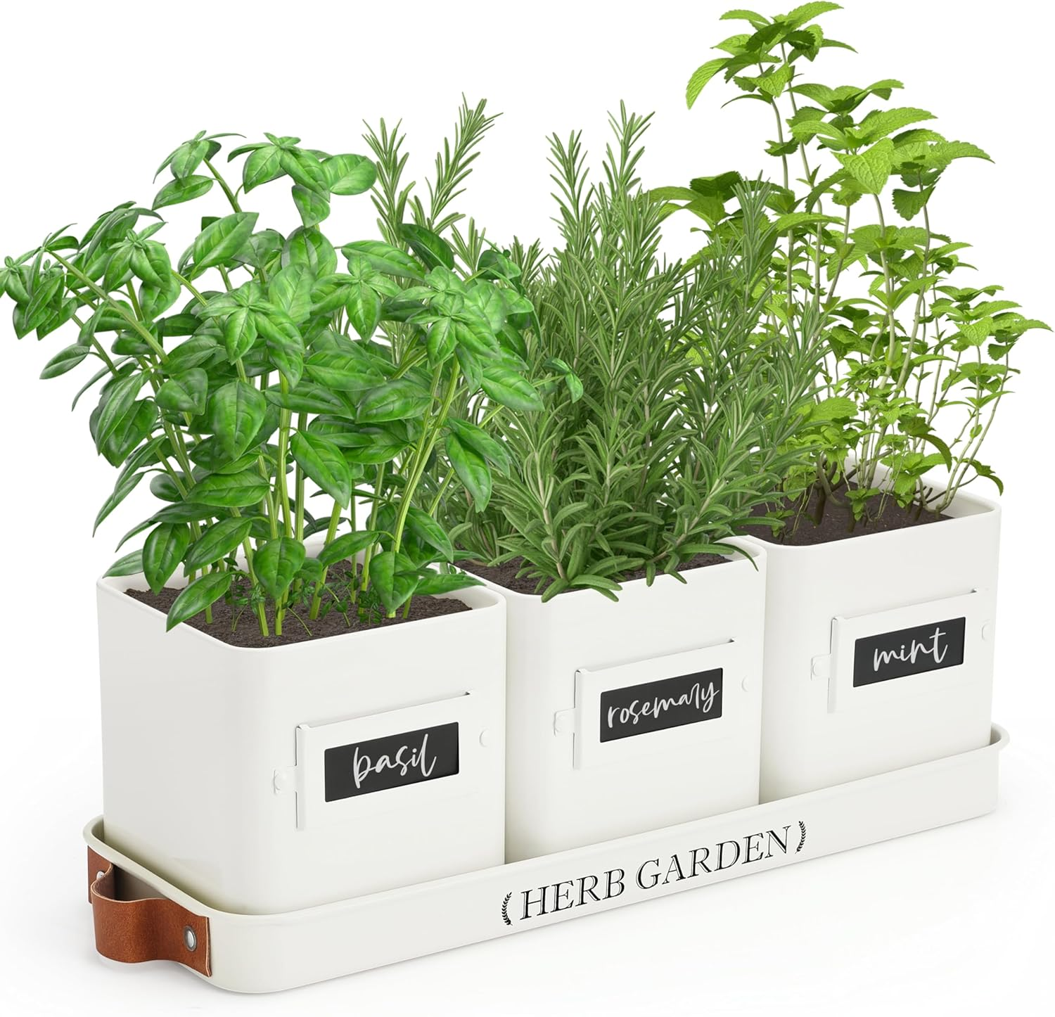PERFNIQUE Indoor/Outdoor Herb Garden Planter Set, Farmhouse Style, White, 4.4" W X 4.7" H, 14.2" L X 4.9" W X 1.2" H Tray, Windowsill Herb Garden, Drainage System - Sky Blue image number 4