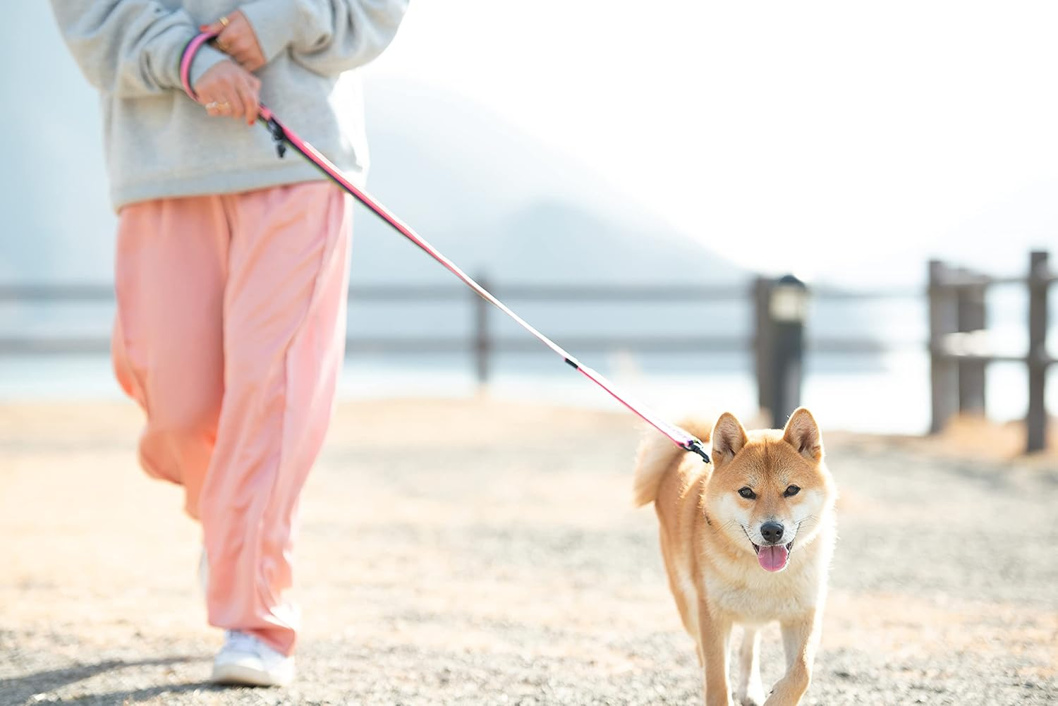 EZYDOG Soft Trainer Dog Leash, Orange, 47.2 Inches (120 Cm) image number 3