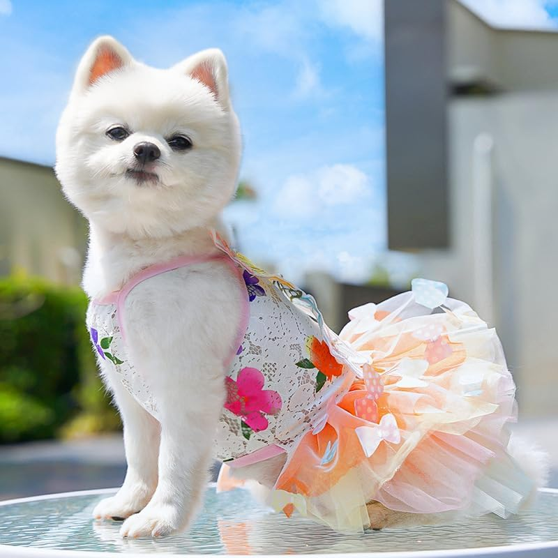 Dress for Cats, Dog Gradient Mesh Dress,Rainbow Butterfly Dress for Small Dog (Colorful, L) image number 1