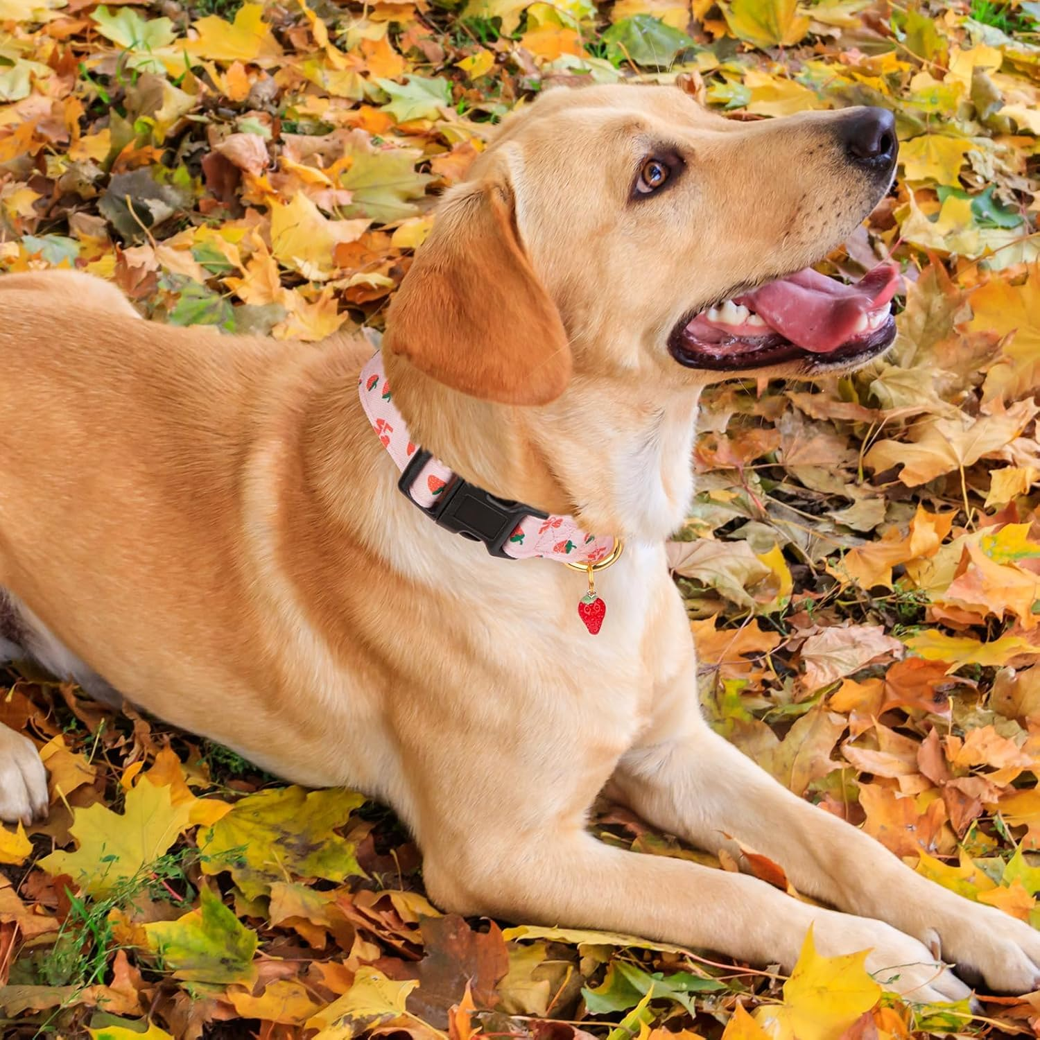 Cotton Handmade Dog Collar Cute and Distinctive Patterns Pink Strawberries with Pendant for Girl Boy Dogs Collars M image number 2