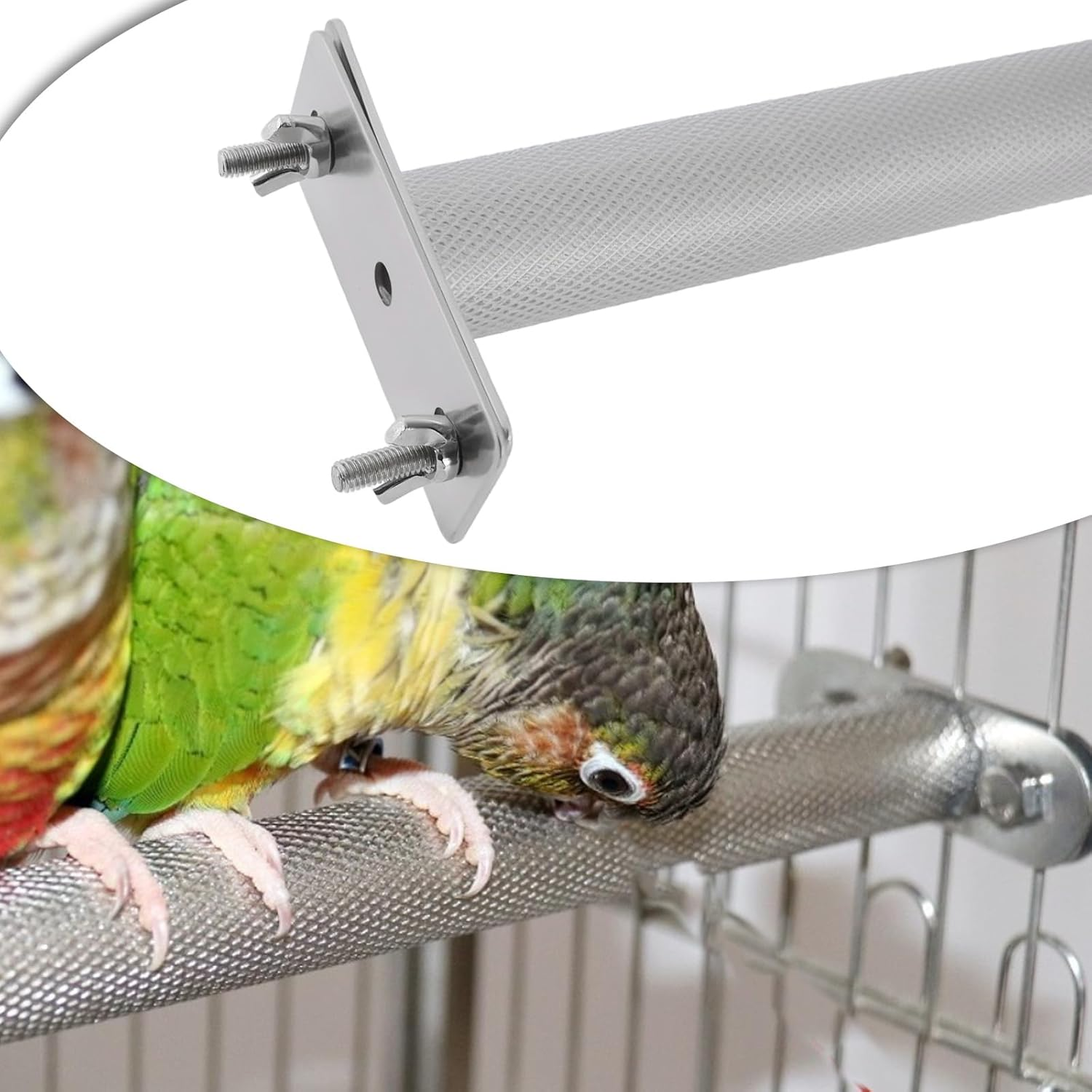 Emagtech Bird Perch Stainless Steel Parrot Perch Stand Branch for Parakeet Cockatiel Conure African Grey Small to Medium Birds(30X3.2Cm)