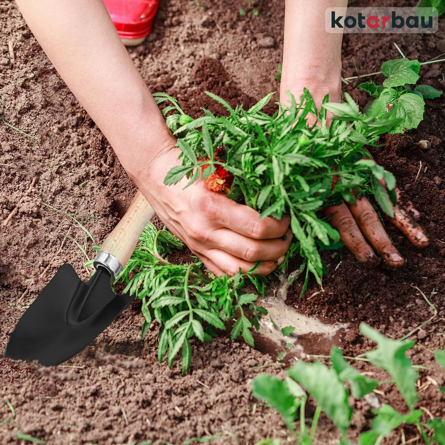 KOTARBAU&reg; Trowel for Planting and Transplanting Flowers, Gardening Supplies, Garden Tools, Made of Steel. Robust image number 3
