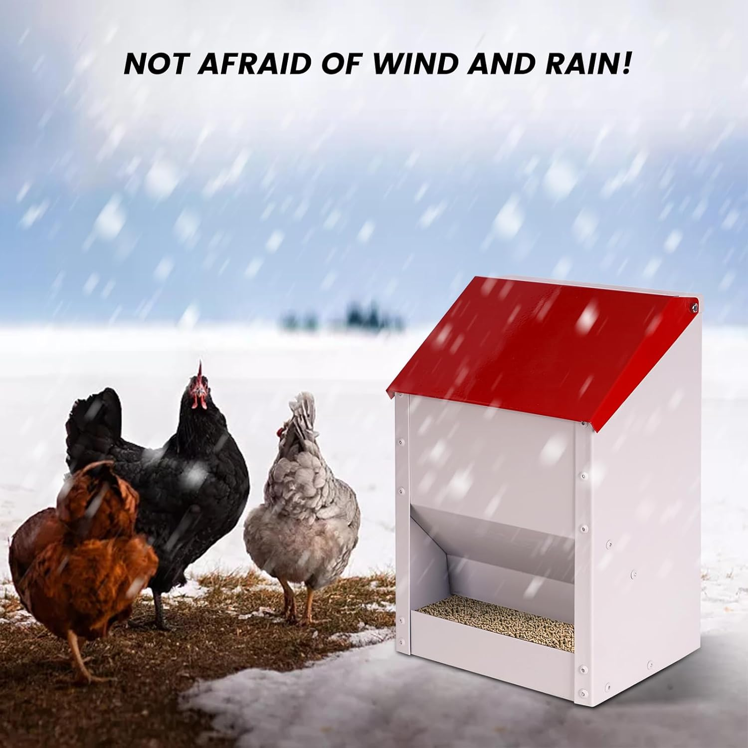 Galvanized Wall Mount Chicken Feeder No Waste Hanging Chicken Feeder with Lid Weatherproof Metal Automatic Poultry Feeder Trough Food Dispenser for outside Coop (10 Lbs) image number 4