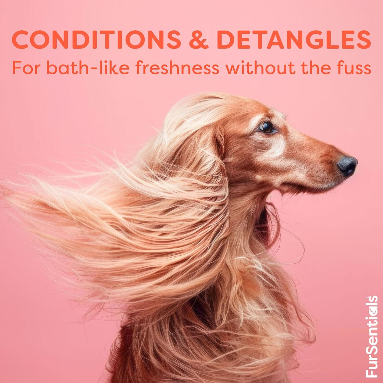 Waterless Shampoo Mousse for Dogs | Waterless Foam Shampoo for Dogs | No Rinse Waterless Shampoo Foam Made with Australian Oils, 200 Ml | by Fursentials image number 4