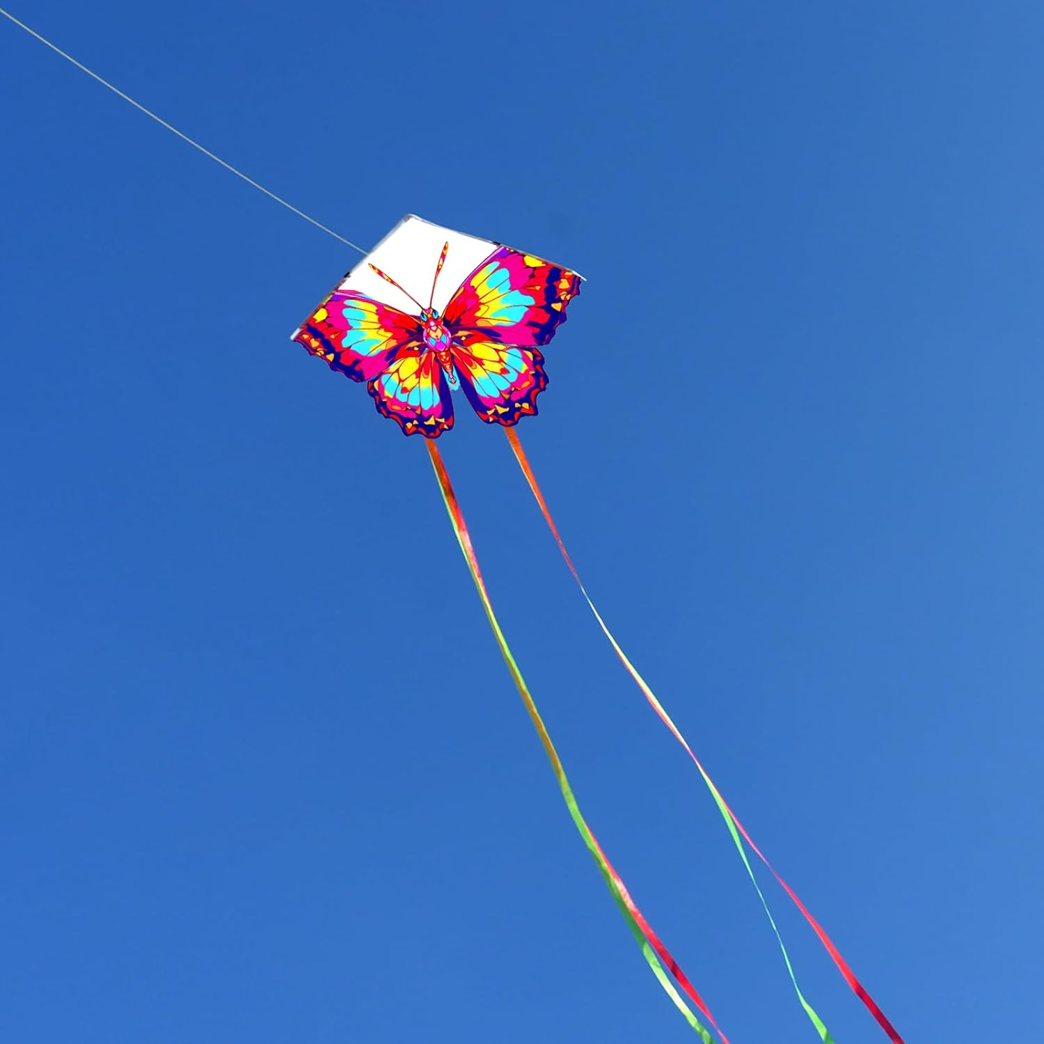 Touch the Sky Vivid Butterfly Kite- Premium Durable Outdoor Flying Kite, Easy to Fly for Beginner,Perfect for Beach, Park, Birthday Party Activities image number 2