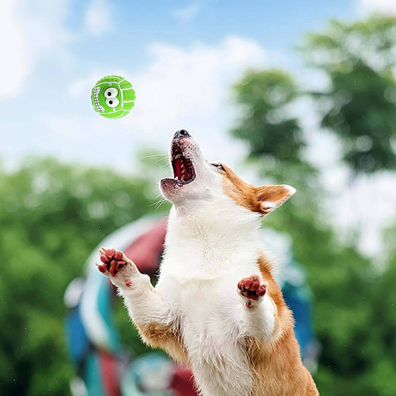 Vegena Squeaky Ball for Dogs, Pack of 6 Dog Balls, Indestructible, 8 Cm Dog Toy Ball, Durable Squeaky Dog Balls, Soft Latex Bouncy Fetch Balls for Large, Medium, Small Dogs image number 2