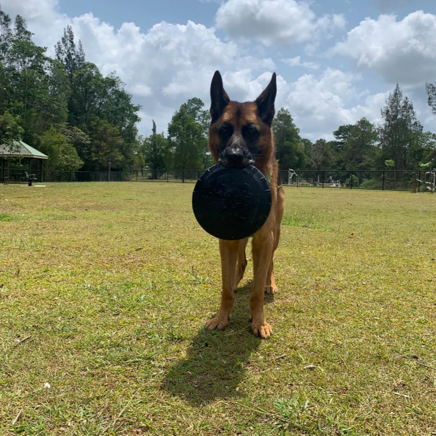 Sodapup Large, Rubber Retrieving Frisbee Dog Toy, Ultra Durable, Black, 24.7Cm Diameter. Tough Magnum Bottle Top Flyer Dog Frisbee and Fetch Toy for Active Dogs 15Kgs+ image number 6