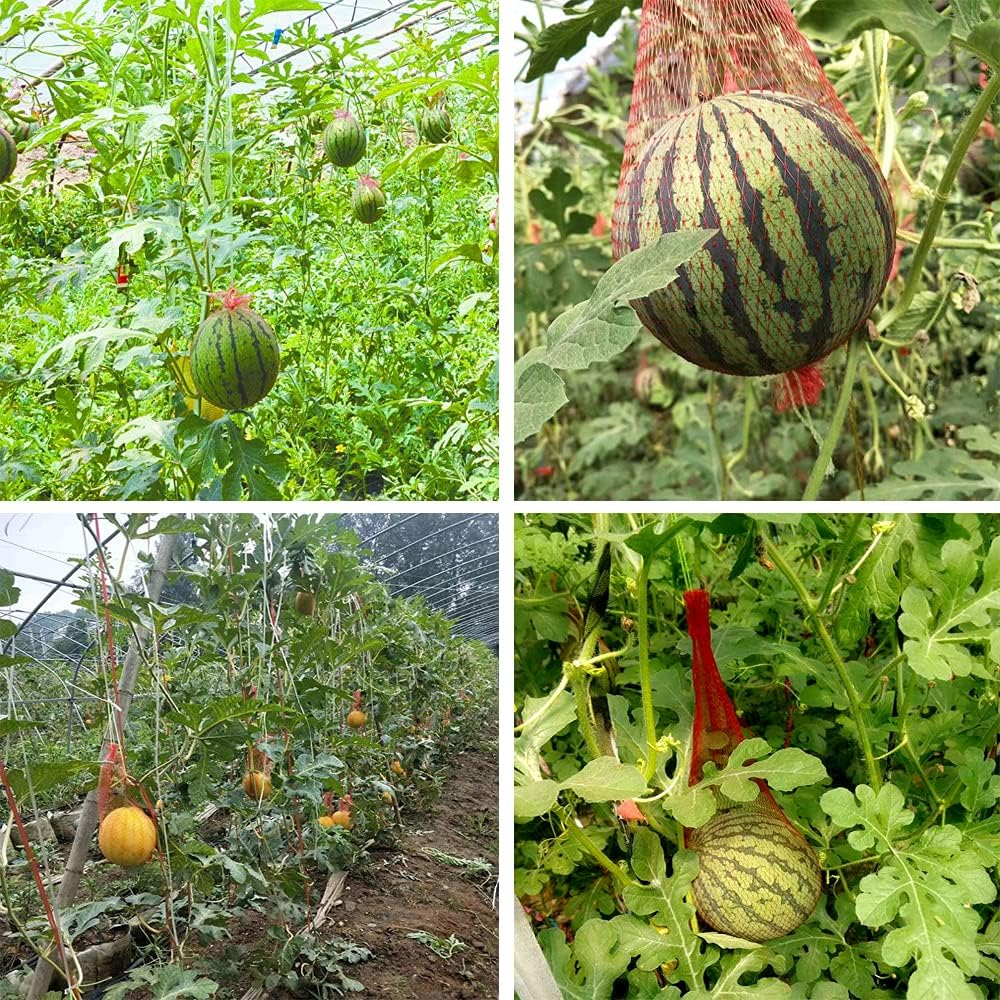 100 Pieces Melon Hammocks Melon Nets Bags, Reusable Cantaloupes Mesh Net Watermelon Nets with Drawstring for Growing Cantaloupe, Watermelon, Vegetables, Honeydew in Vertical Garden image number 5