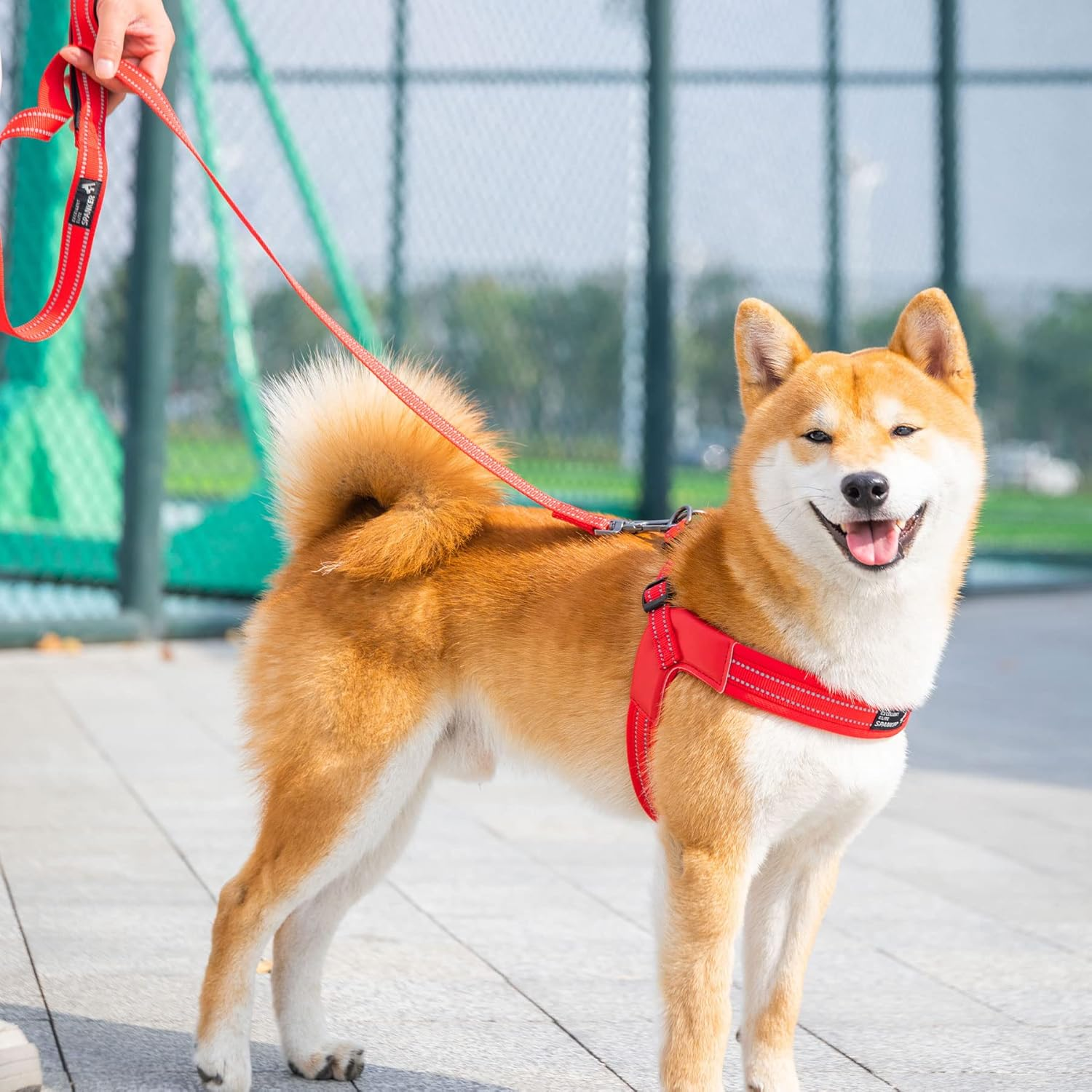 EXCELLENT ELITE SPANKER No Pull Dog Harness Reflective Nylon Vest V-Shaped Soft Padded Adjustable Easy Pet Harness for Medium Large Breeds Dogs Walking Training Black Purple(Blue-M) image number 4