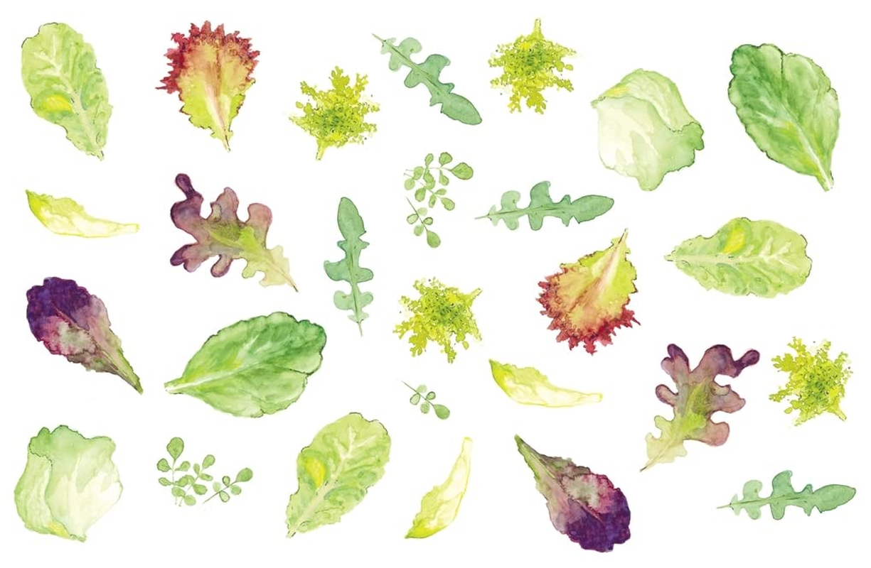 The Kitchen Garden:Sowing, Growing and Cooking for the Garden Enthusiast image number 1