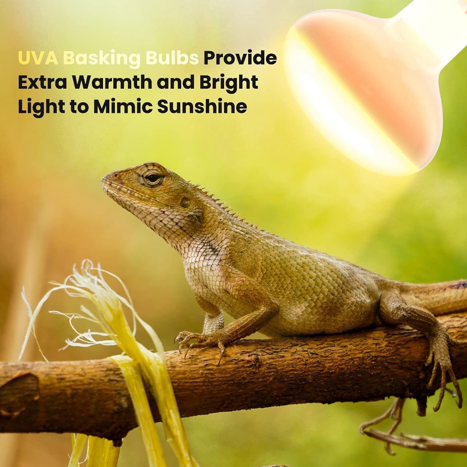 100W Reptiles Heat Bulb E27 Base Warm White Light Basking Bulb, Dimmable UVA Heat Lamp Bulbs for Reptiles, Chicks, Tortoise, Bearded Dragon, Dogs, Lizard 2Pack image number 4
