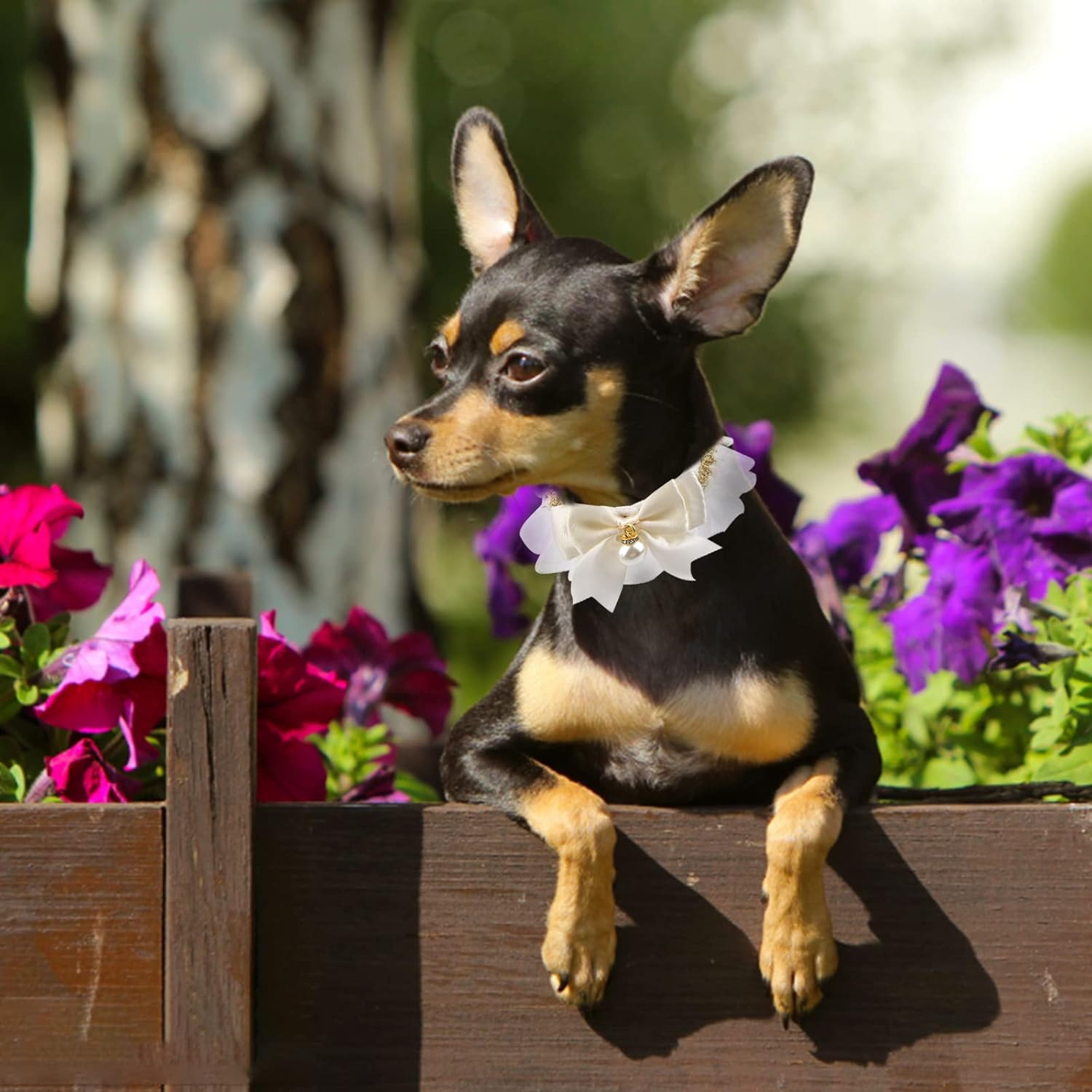 HACRAHO Pet Lace Collar, 2 Pieces Adjustable with Cute Pearl Pendant Elastic Black White Lovely Lace Collar for Cat Dog image number 3