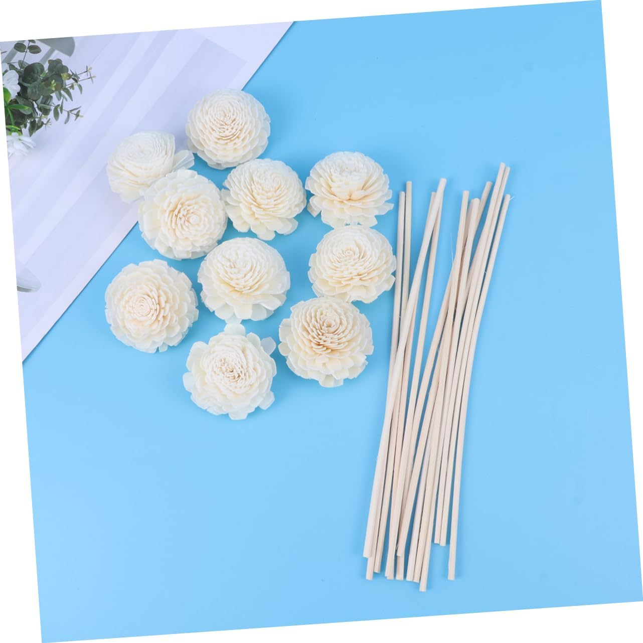 30Pcs Chrysanthemum Scented Rattan Reeds Sticks Natural Fragrance Aroma Diffuser Reeds Essential Oil Sticks for Home Decor image number 5