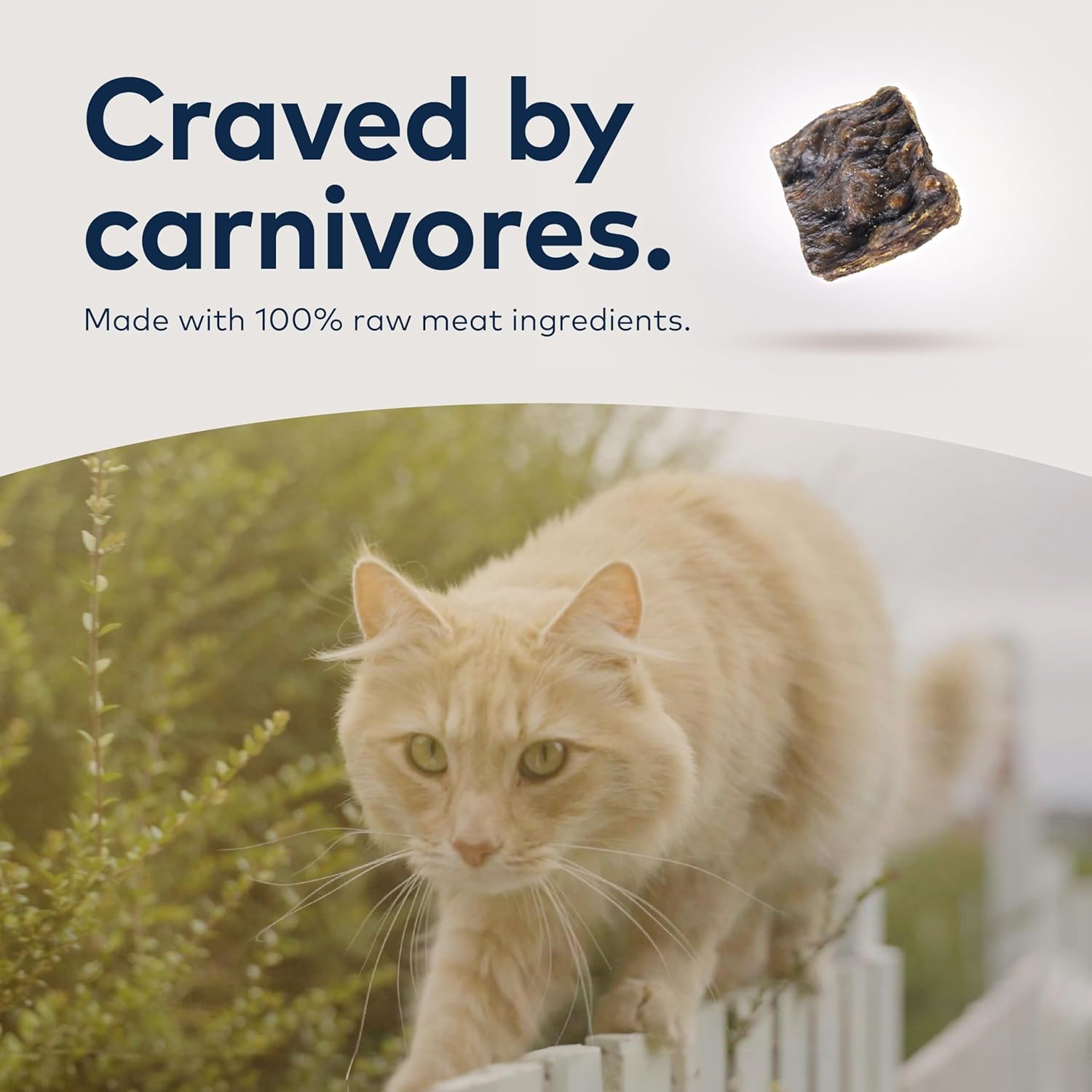 Ziwi Peak Cat Food Adult Free Range Chicken, Dry Food - 400G Pouch image number 5