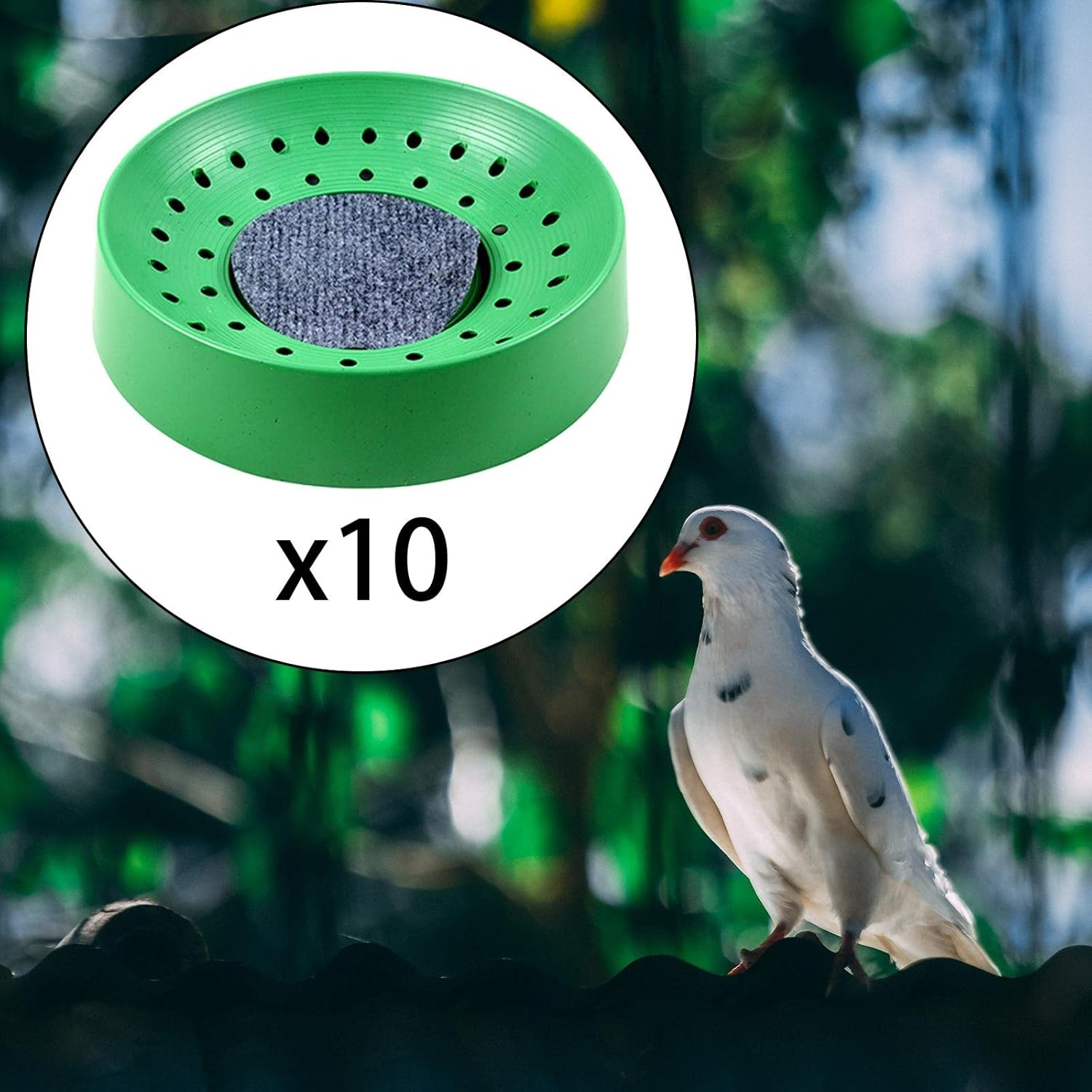 10X Plastic Pigeon Nest with Mat Nesting Bowl Pigeon Den for Quails image number 3