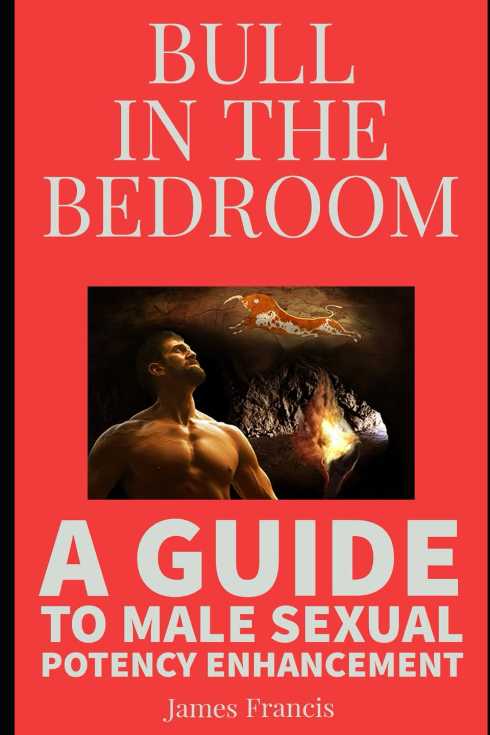 BULL in the BEDROOM: a GUIDE to MALE SEXUAL POTENCY ENHANCEMENT