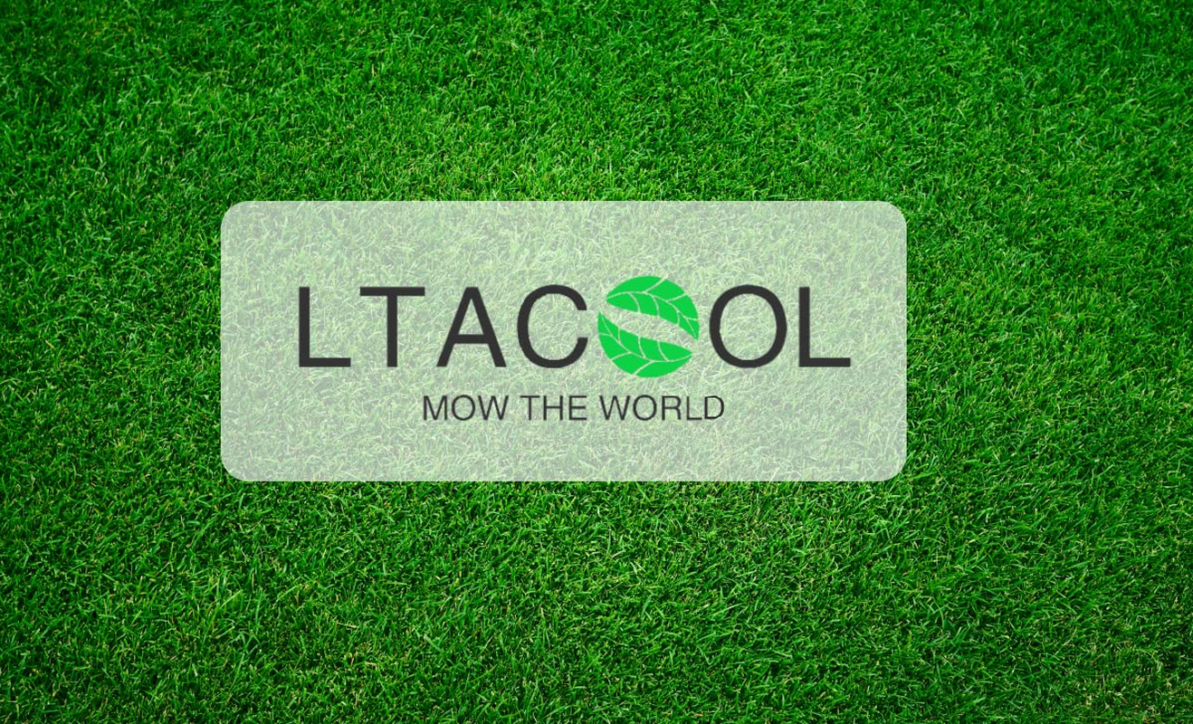 New Replacement Cogged Wedge Banded Belt 1 5/8" X 47 3/4" Compatible with Vermeer 142468001 ，SC252 ，180007296 image number 4