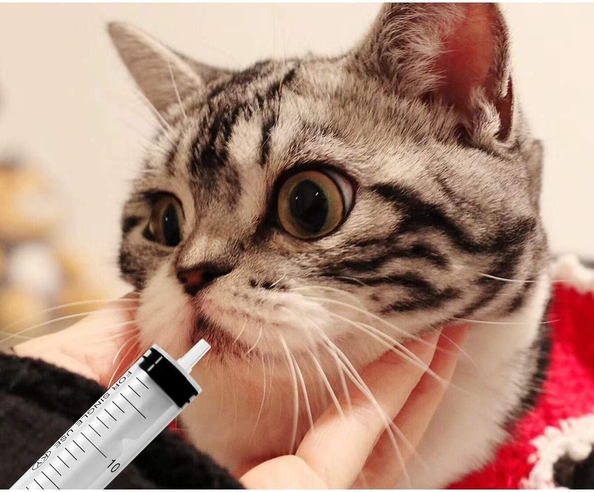 100Ml Syringe with 31.5 Inch Plastic Tube for Glue Dispensing, Scientific Laboratory, Watering, Filtration, Pet Feeding(2 PCS) image number 3