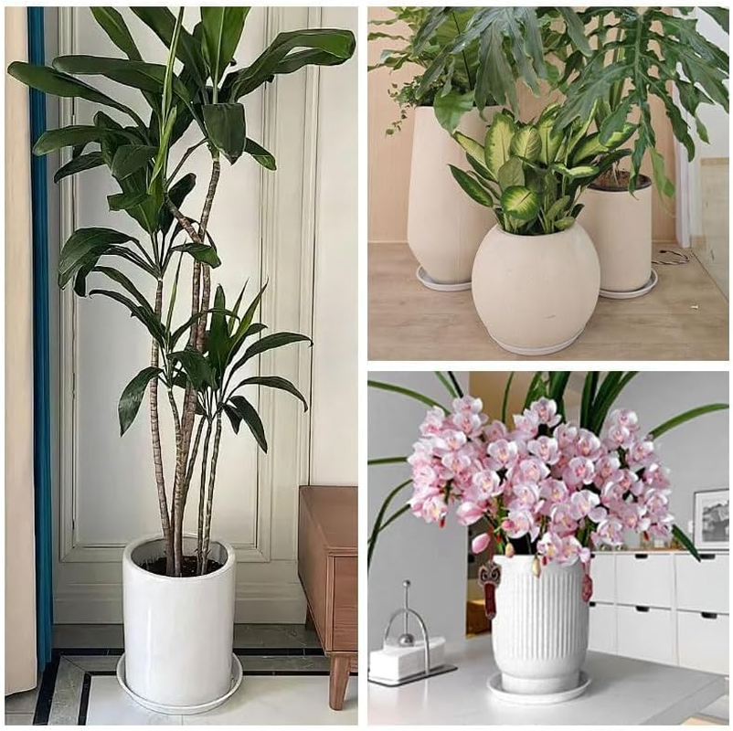 2 PCS 25Cm White Plant Saucers, Durable and Waterproof Plant Trays for Pots, Suitable for Most Potted Plants in Indoor and Outdoor Environments