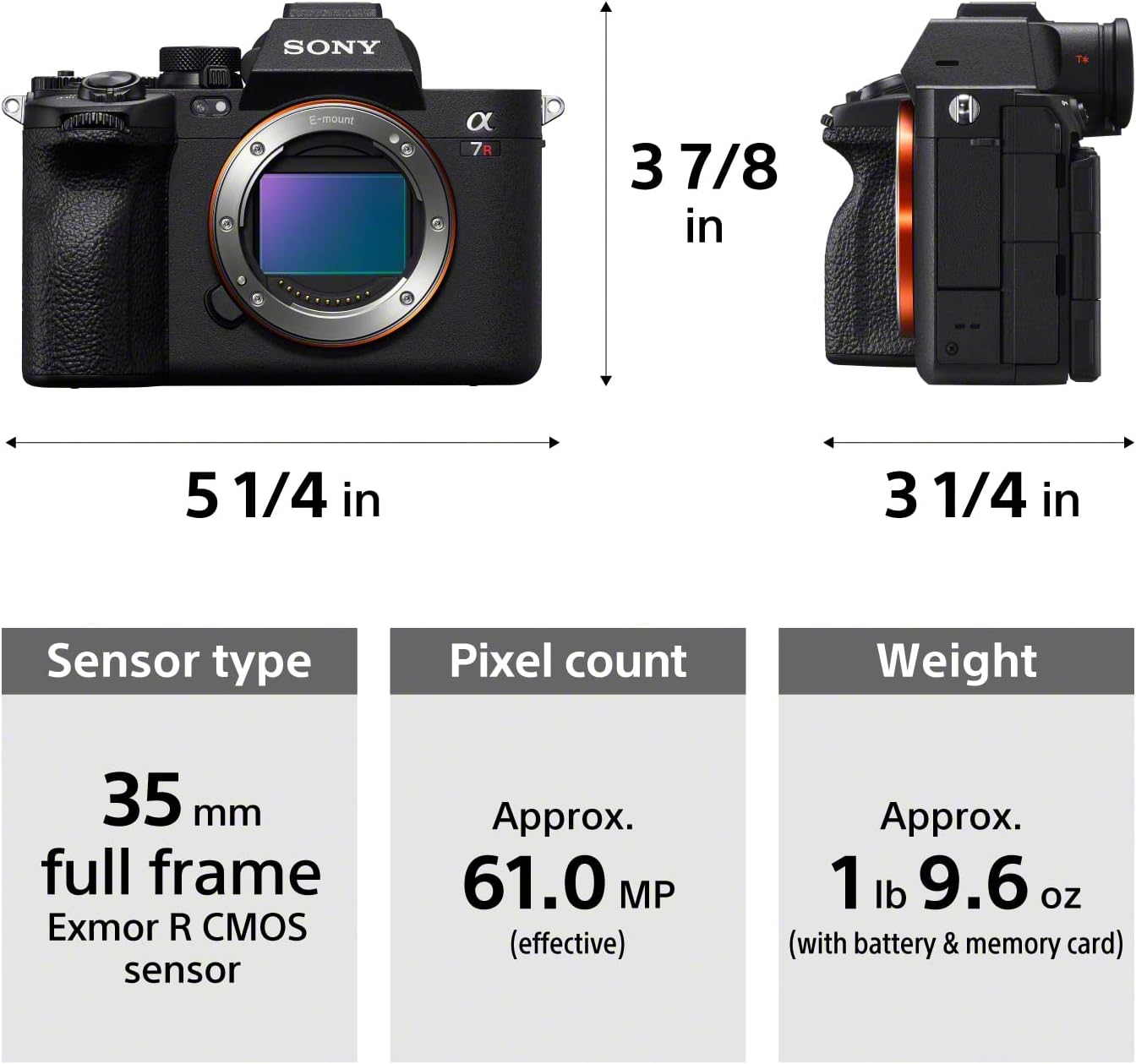 Sony A7R V Mirrorless Camera Body image number 6