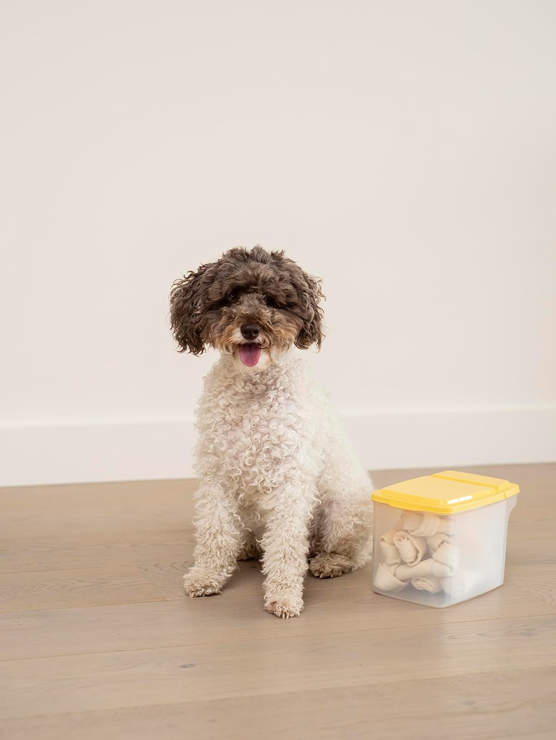 Locknlock Flip Top Pet Food Storage Container, 3.2 Litre Capacity image number 2