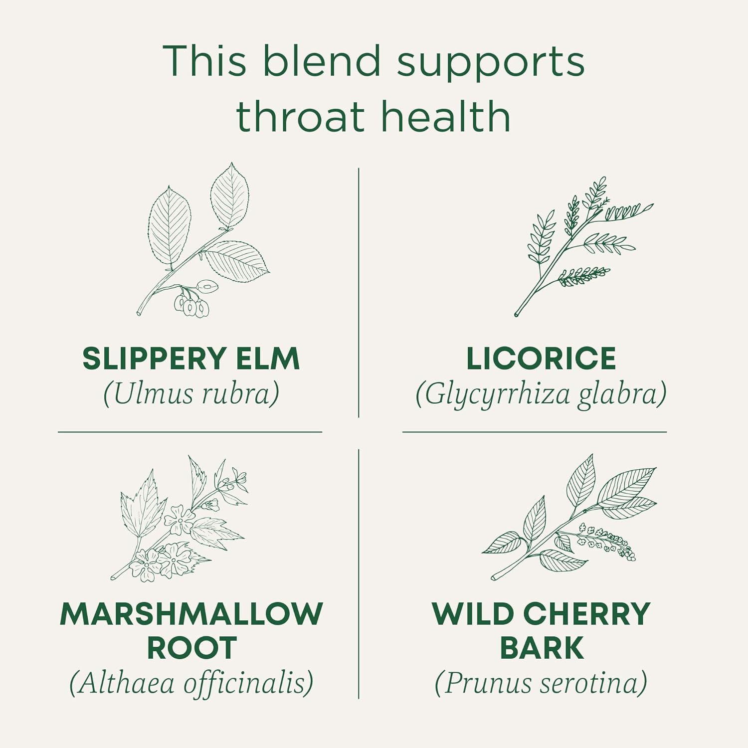 Traditional Medicinals Tea, Organic Throat Coat, Supports Throat Health, 16 Tea Bags image number 5