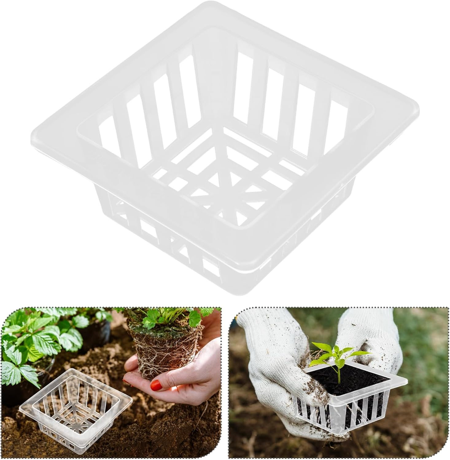 Levemolo 20Pcs Hydroponic Cups for Plants Root-Fixed Flower Pot in Mesh Baskets for Vegetable Flower Gardening image number 2