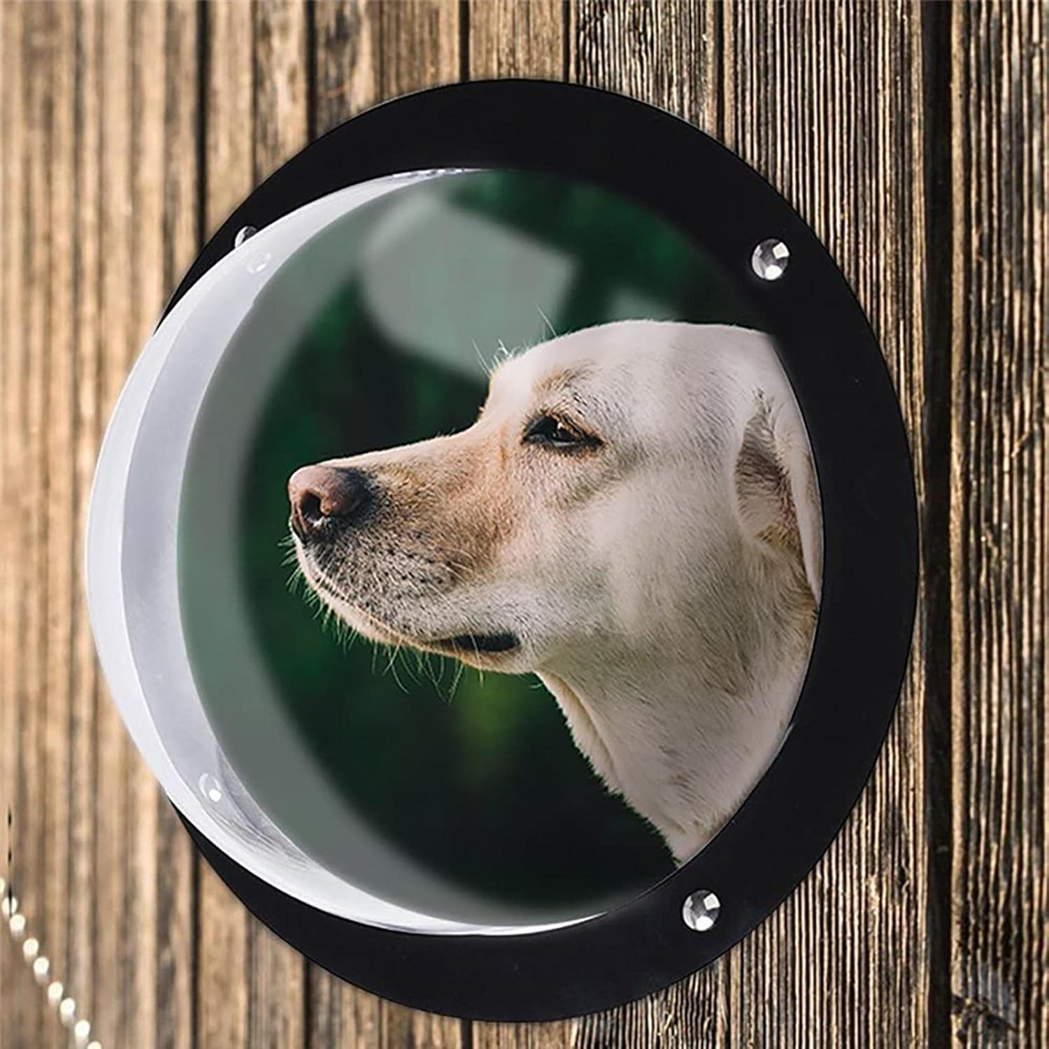 Dog Fence Window - Clear Dome Peek Bubble, Safe Acrylic round Pet Window with Wide View Design, Easy-To-Install Fence Dome for Dogs and Cats | Ideal for Backyard Fences, Kennels, and Play Areas image number 1