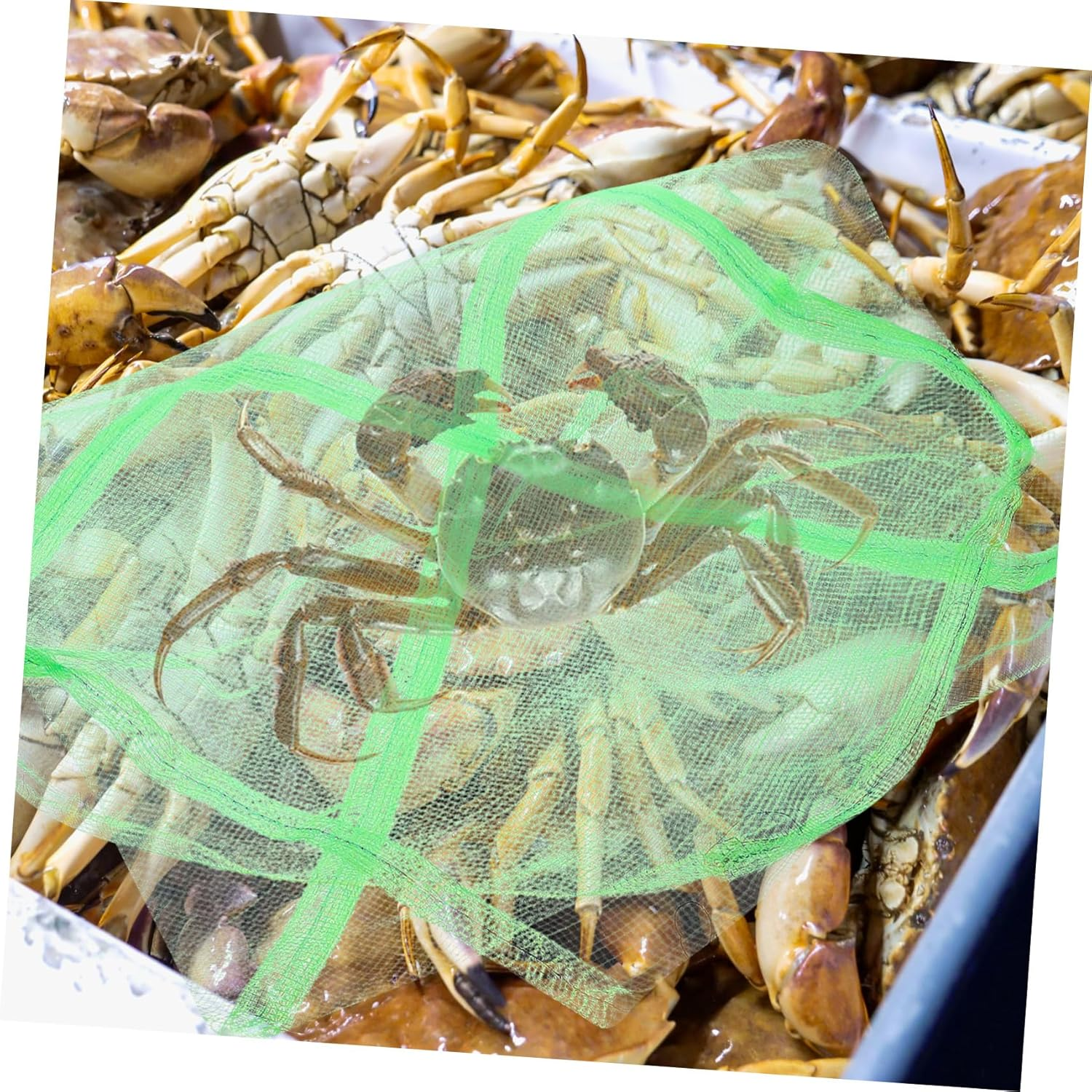 DOITOOL 10Pcs Portable Outdoor Crab Mesh Bags Quick-Drying Fishing Net Pouches Multi-Use Drawstring Storage for Fish Crabs Lobsters