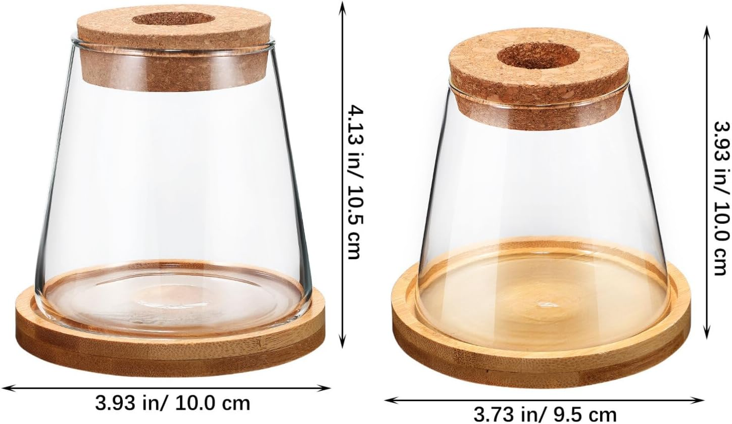 TOVINANNA 2Pcs Hydroponic Plants Terrarium with Cork Stopper and Base Glass Propagation Jars for Indoor Greenery Decor Elegant Water for Home Centerpiece image number 1