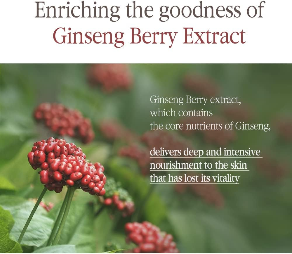 Pyunkang Yul [PKY] Black Tea Boosting Serum for Anti-Aging, Condensed Nutrition for Fine Line Care with Kombucha, Ginseng Fruit Extract, Zero-Irritation, Korean Skincare (1.52 Fl. Oz, 45Ml) image number 4