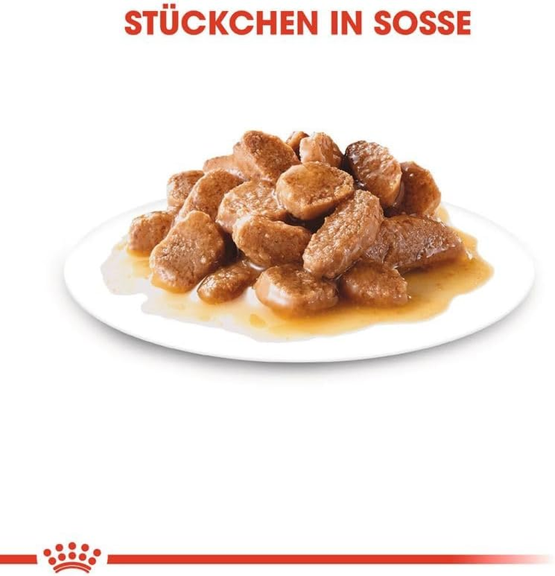 Royal Canin Canine Mini Ageing +12 Wet Dog Food 12X85G image number 1