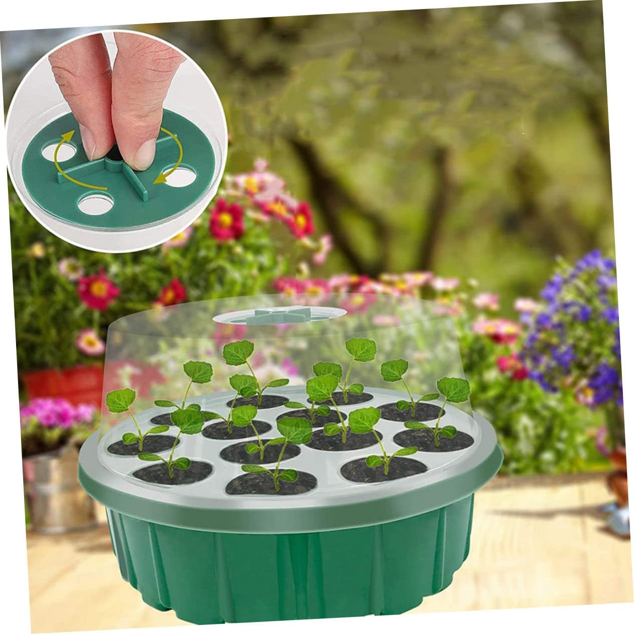 CIMAXIC 2Pcs Seedling Box round Greenhouse Grow Trays for Planting Starter Pots Garden Box Gardening Sprouting Case image number 3