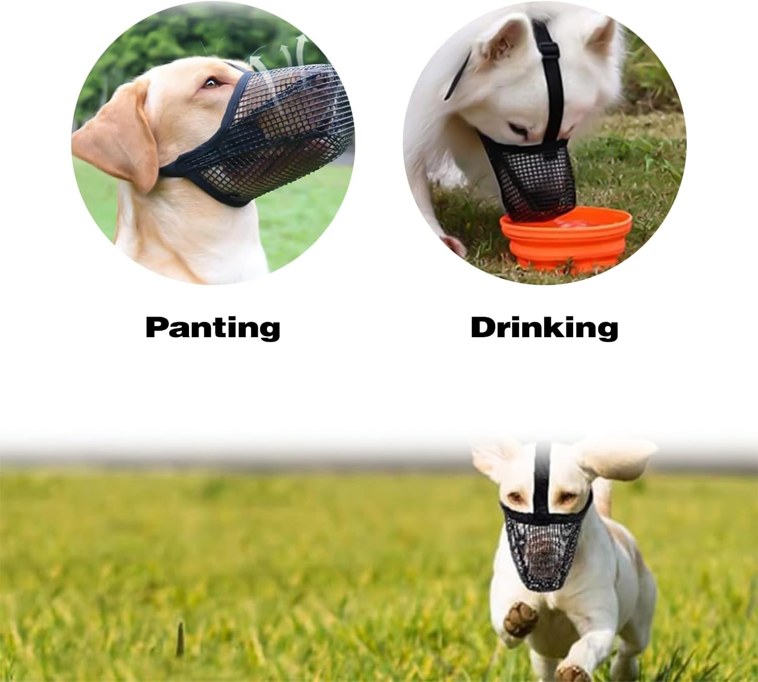 Muzzle for Dogs, Mesh Dog Muzzle for Dogs with Rounded Mesh, Dog Muzzle to Prevent Eating, Biting, Chewing, Muzzle for Small, Medium and Large Dogs (L) image number 2