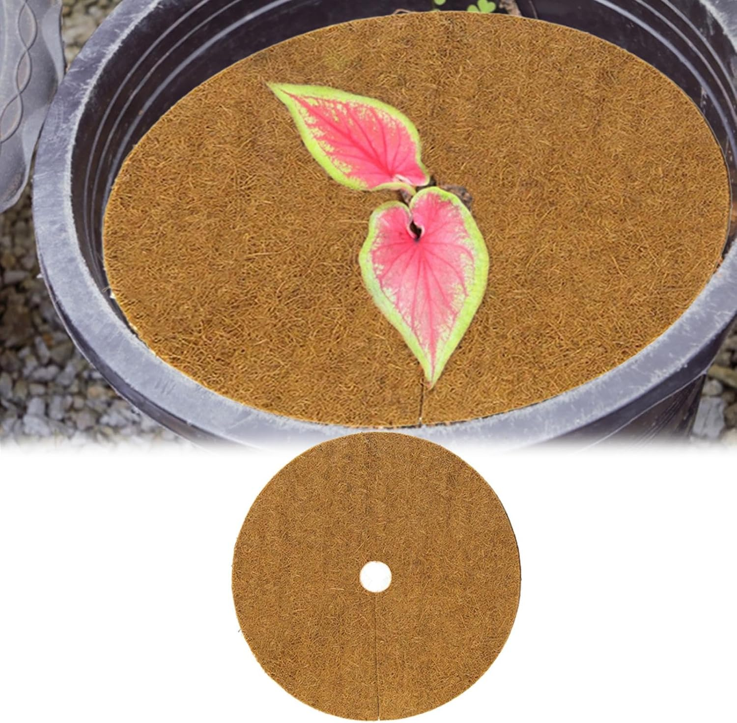 Palm Fiber Disc Mat, Coconut Mat, 10 Pieces, Coconut Liner, Plant Pot, Fiber Liner, Coconut Liner Ring, Reduces Moisture Evaporation, Prevents Drying, Suppresses Weed Growth, Reduces Temperature, - 30Cm image number 6