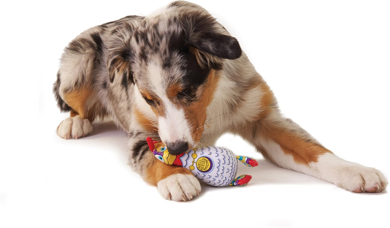 Petstages Madcap Well-Heeled Poultry Dog Toy image number 1