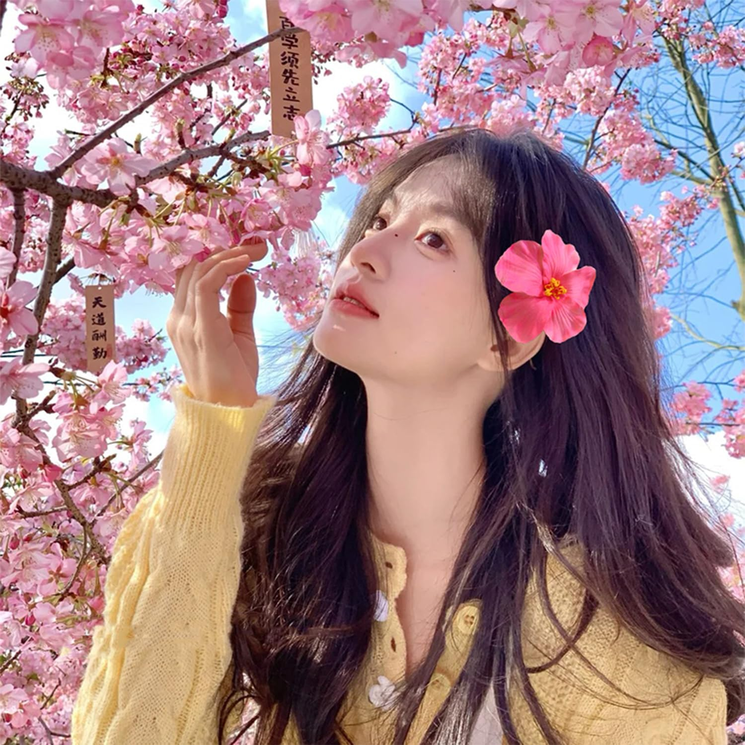 Pack of 5 Flower Hair Pins, Elee and Simple Hair Accessories, Beach Party Hair Accessories, Hairstyle Decorations, Party Clothing Accessories. image number 1