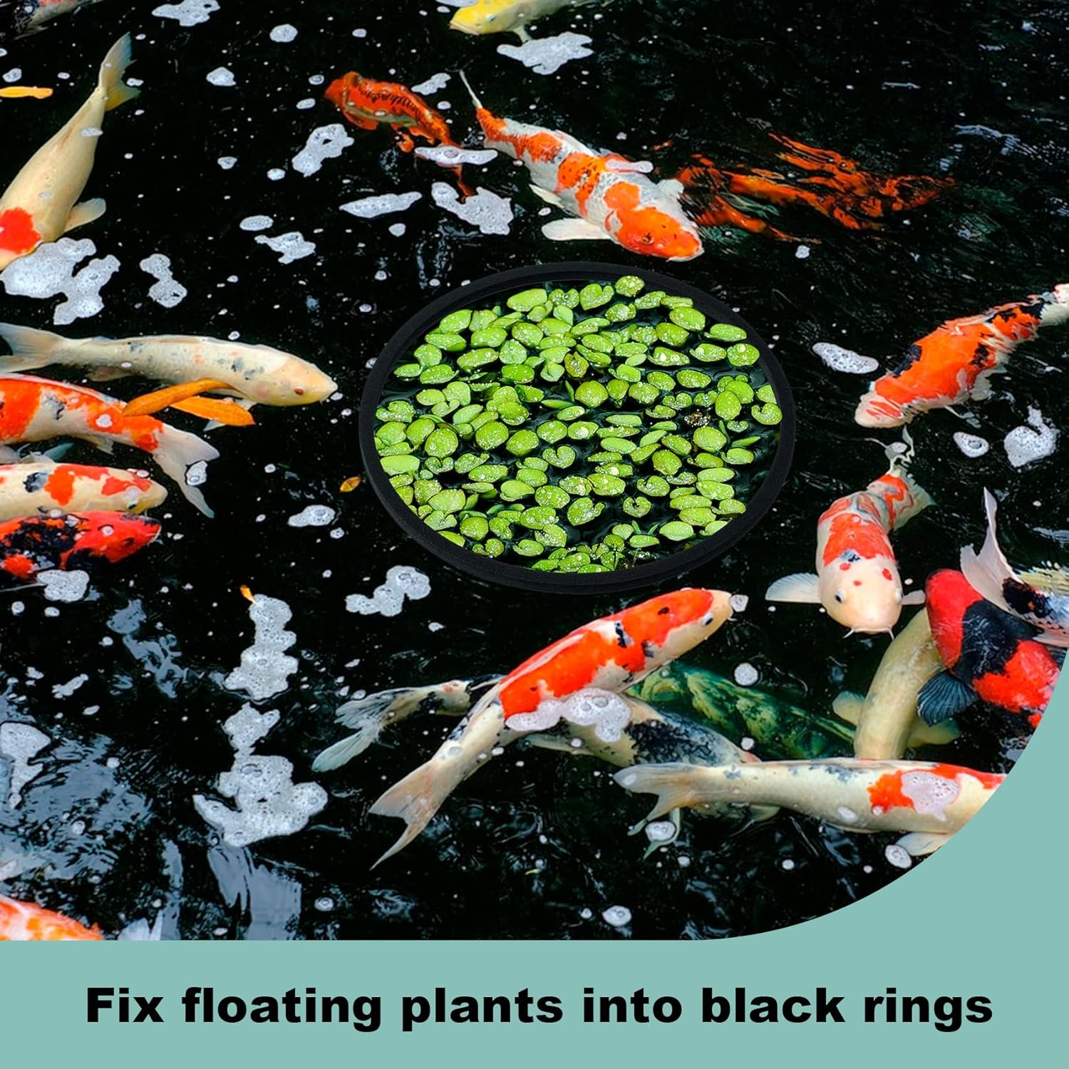 Isslly 10PCS Fish Feeding Rings, 5 Sizes Oval Aquarium Floating Plant Barriers, Foam Fish Feeder Rings, Fish Tank Aquarium Accessories for Fish, Floating Plant - Black image number 4